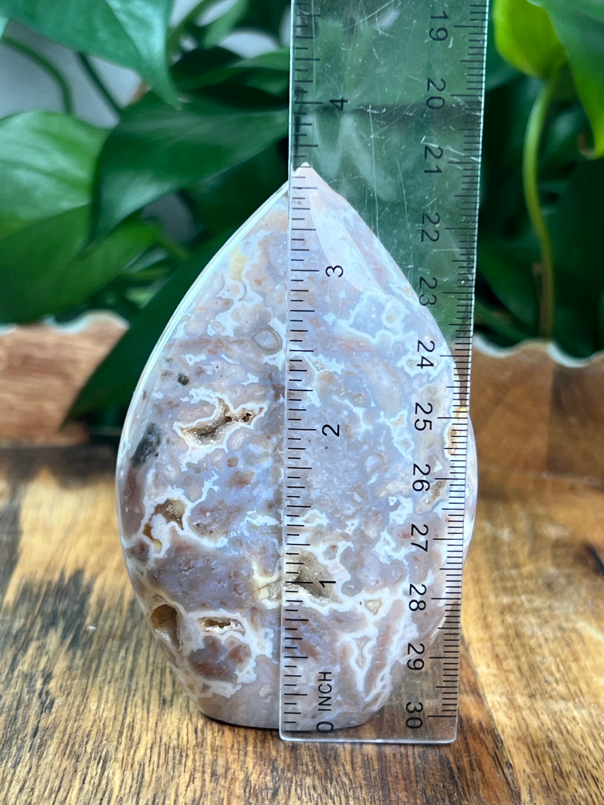 Sumatra Plume Agate Flame: NE