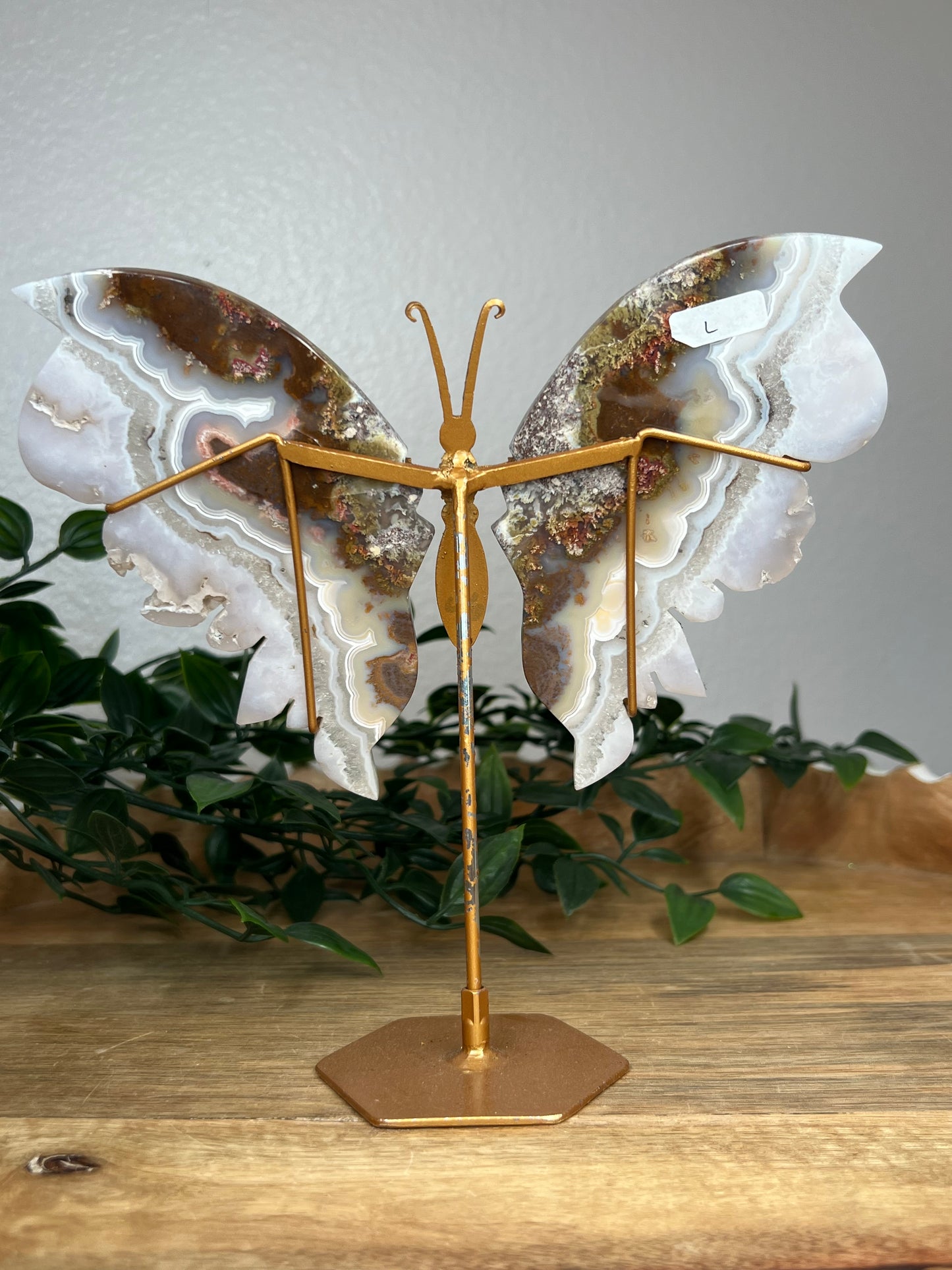 Scenic Moss Agate Wings