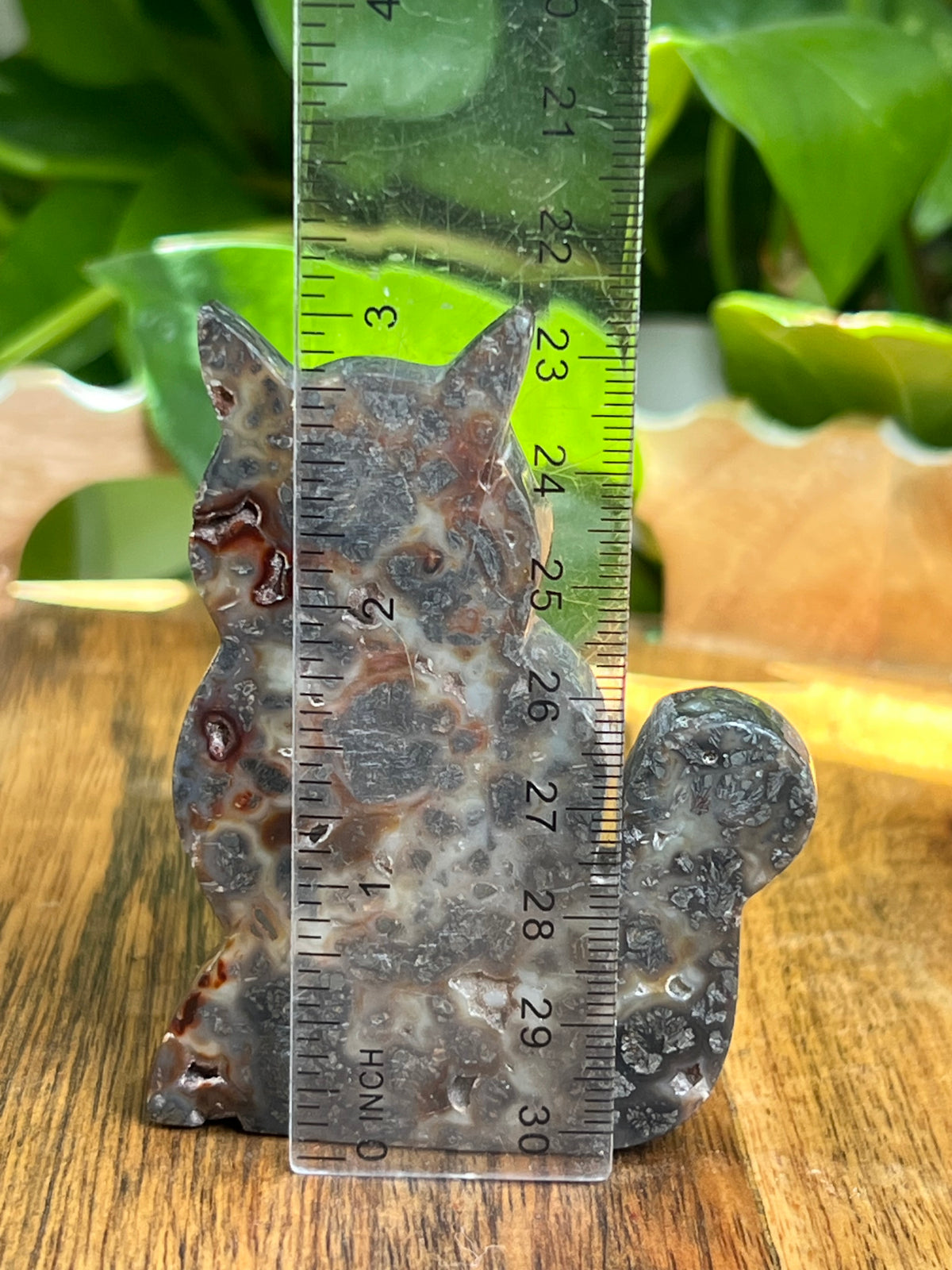 Marcasite Cat: C