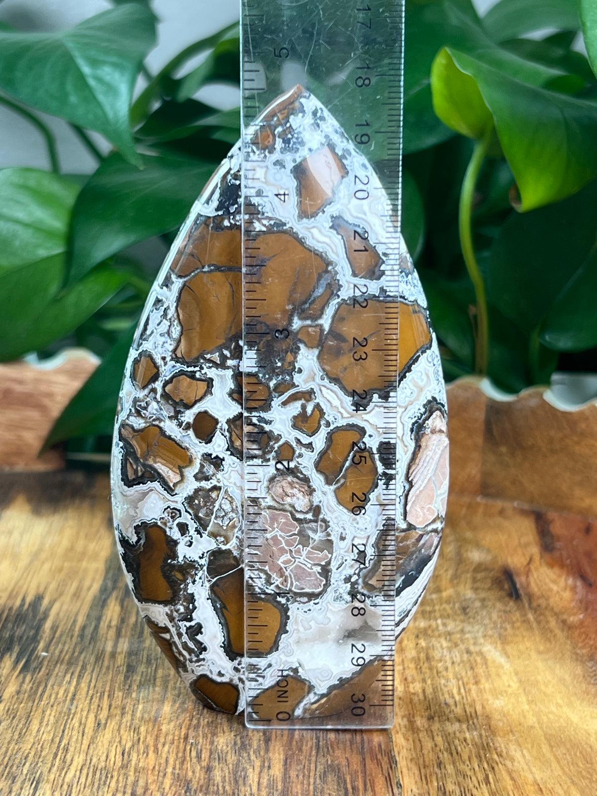 Brecciated Jasper Flame: EB