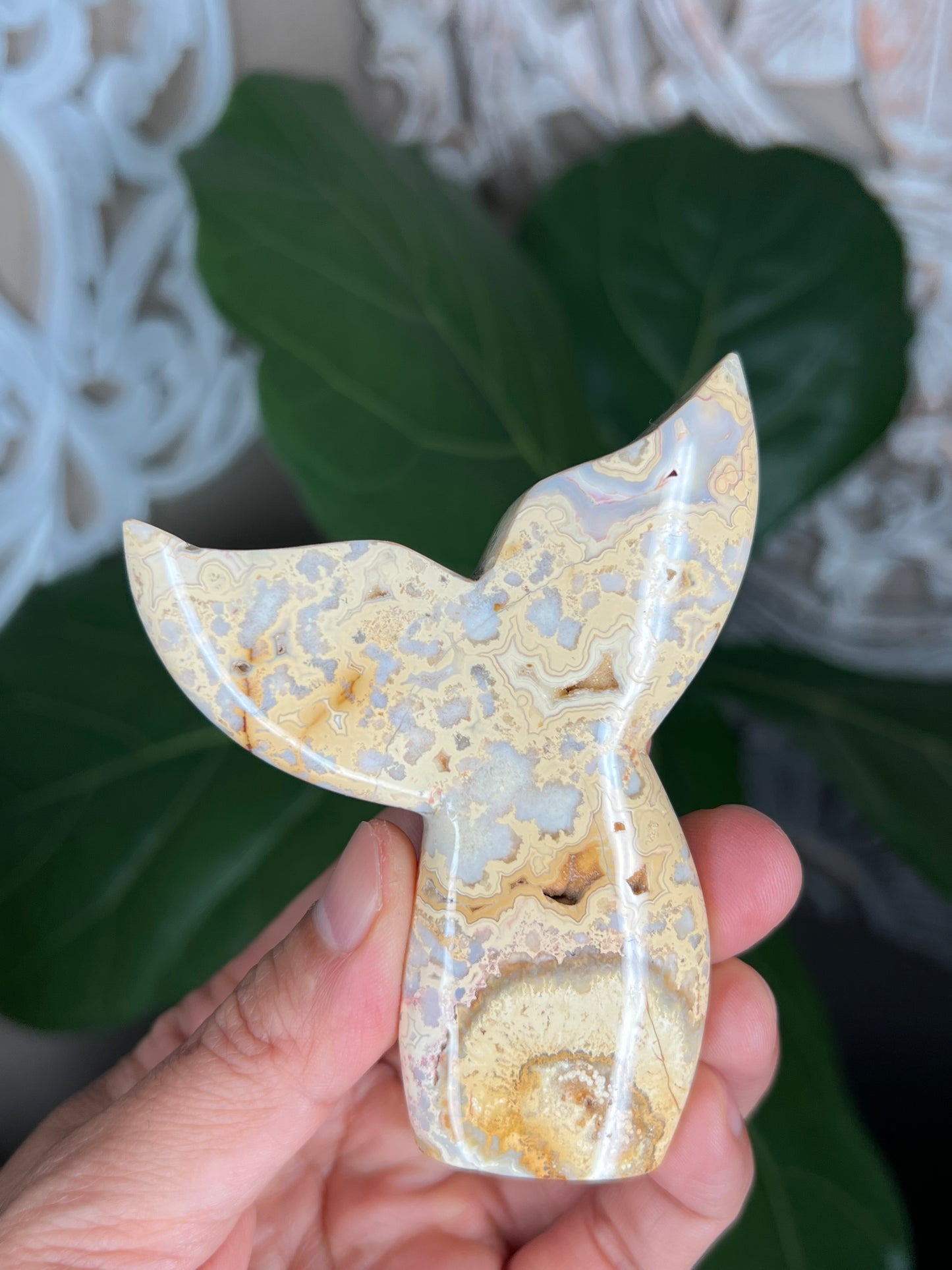 Crazy Lace Agate Tail
