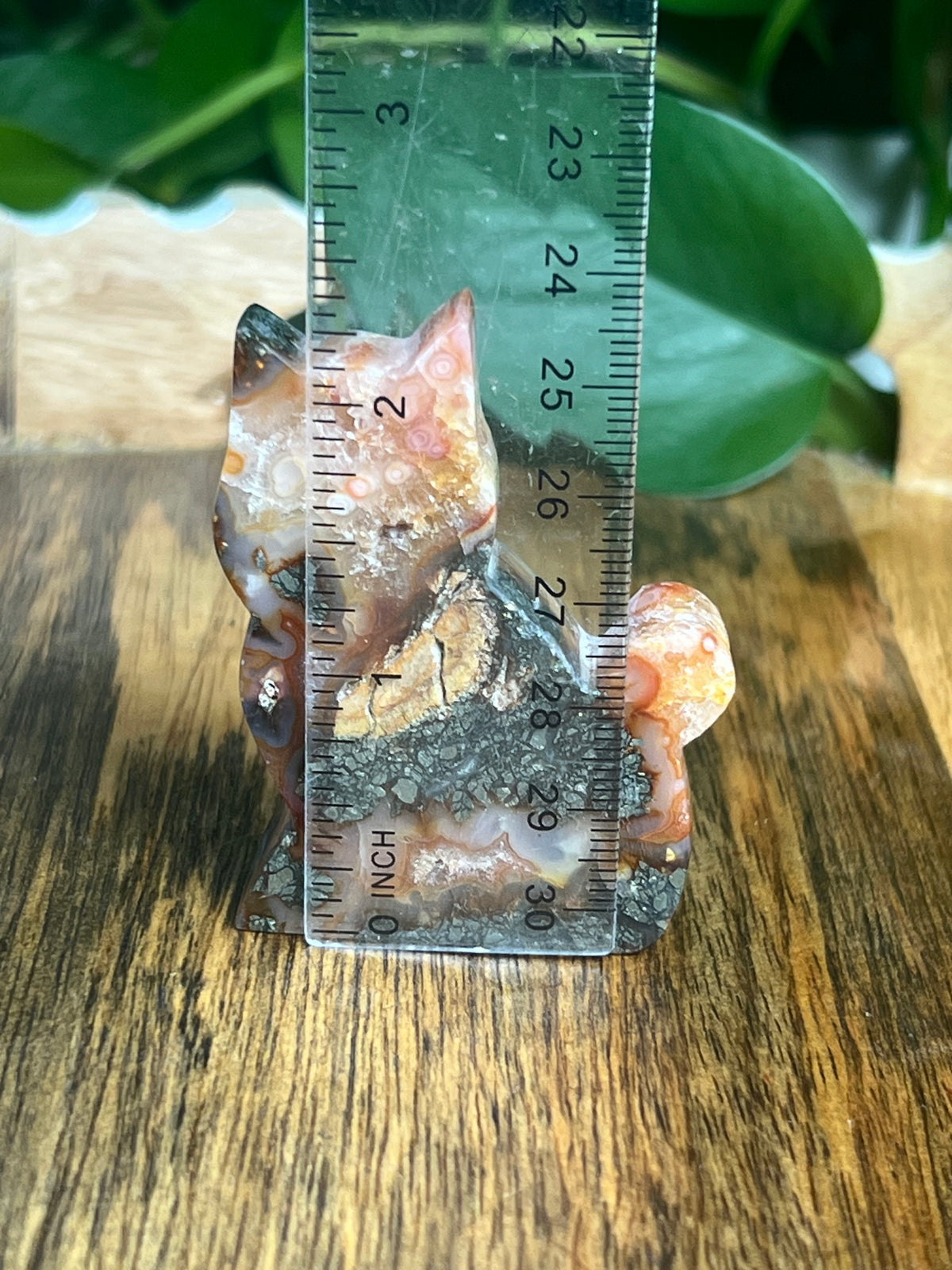 Marcasite Cat: XA