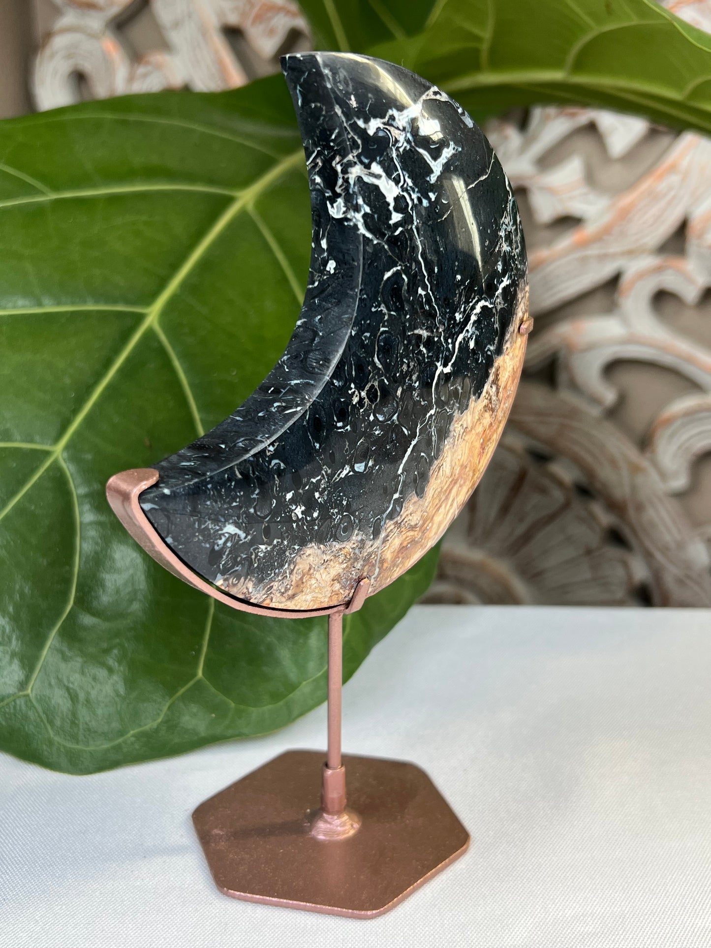 Palm Root Moon