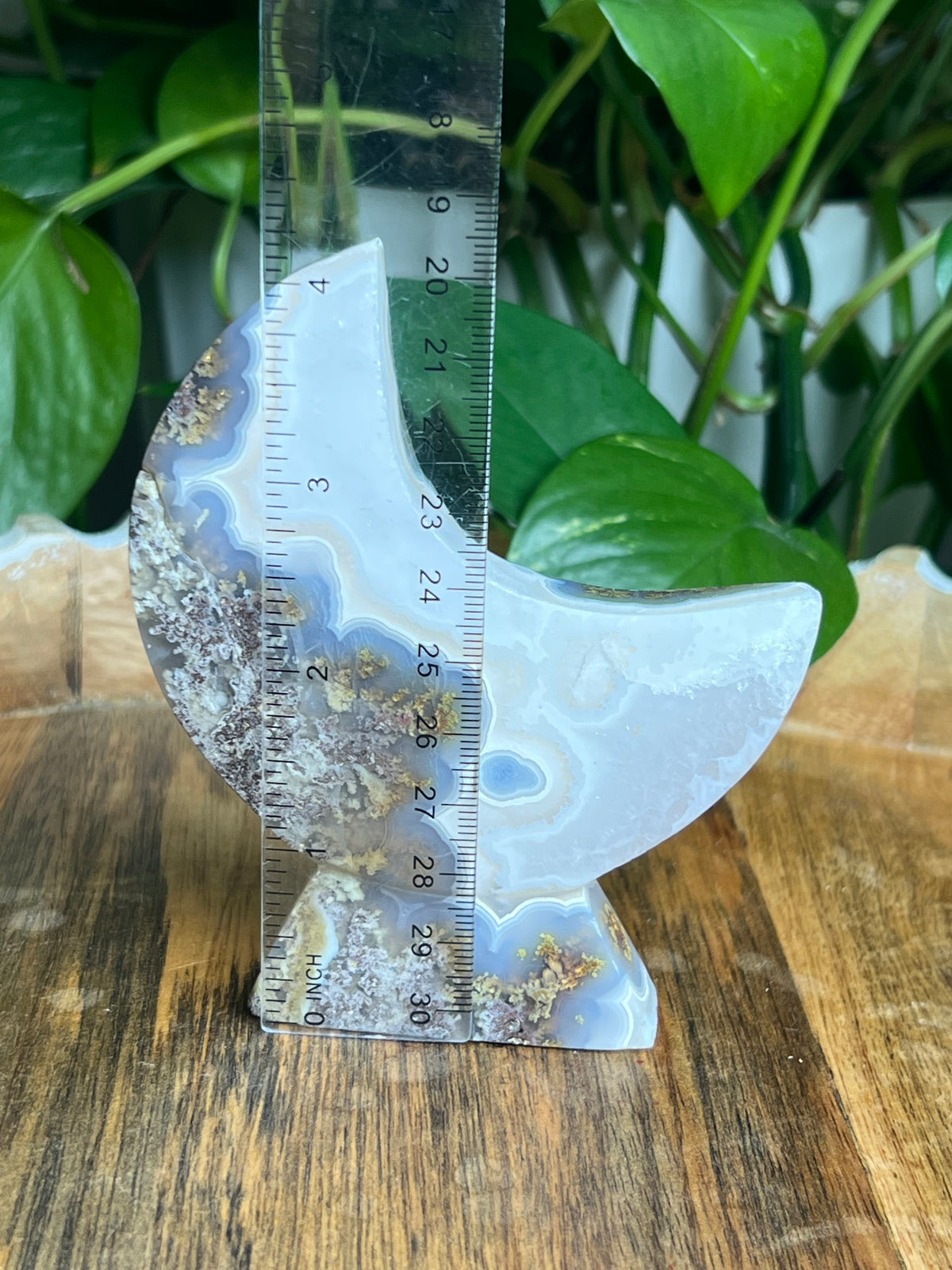 Scenic Moss Agate Self-Standing Moon: NL