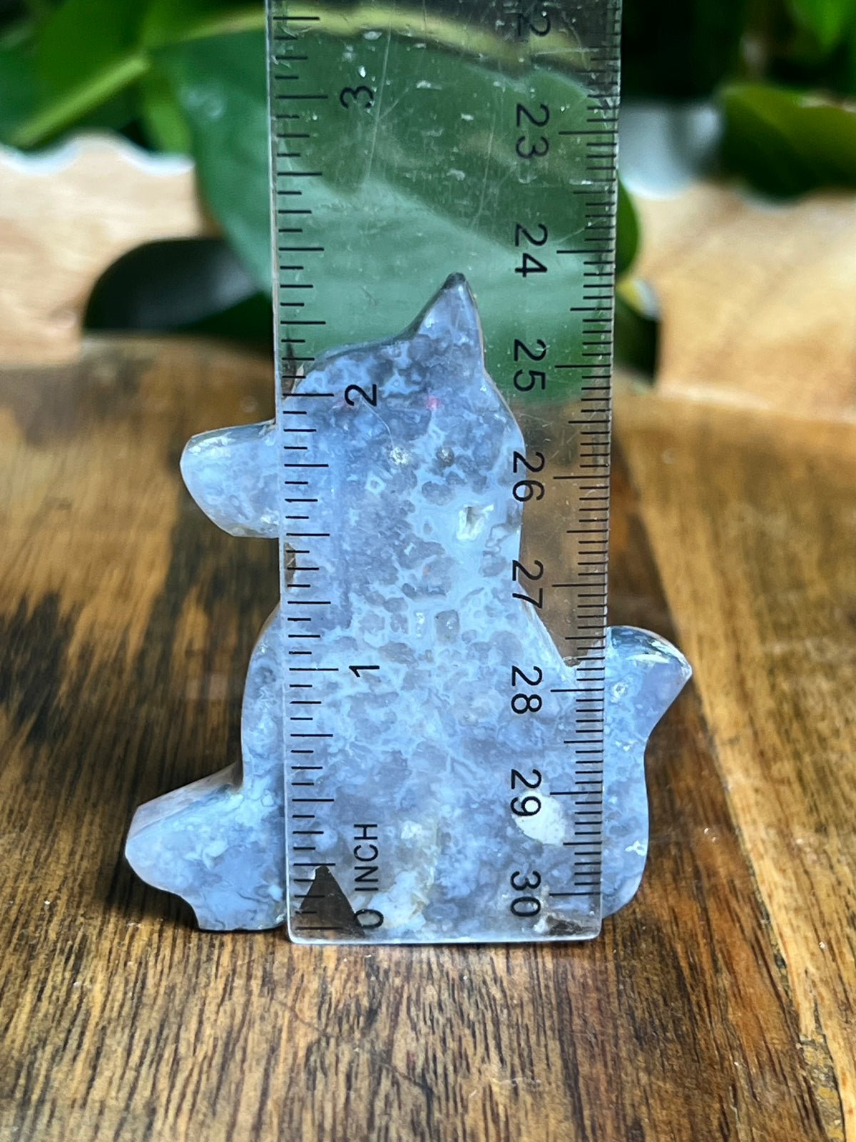 Blue Plume Agate Dog: NB