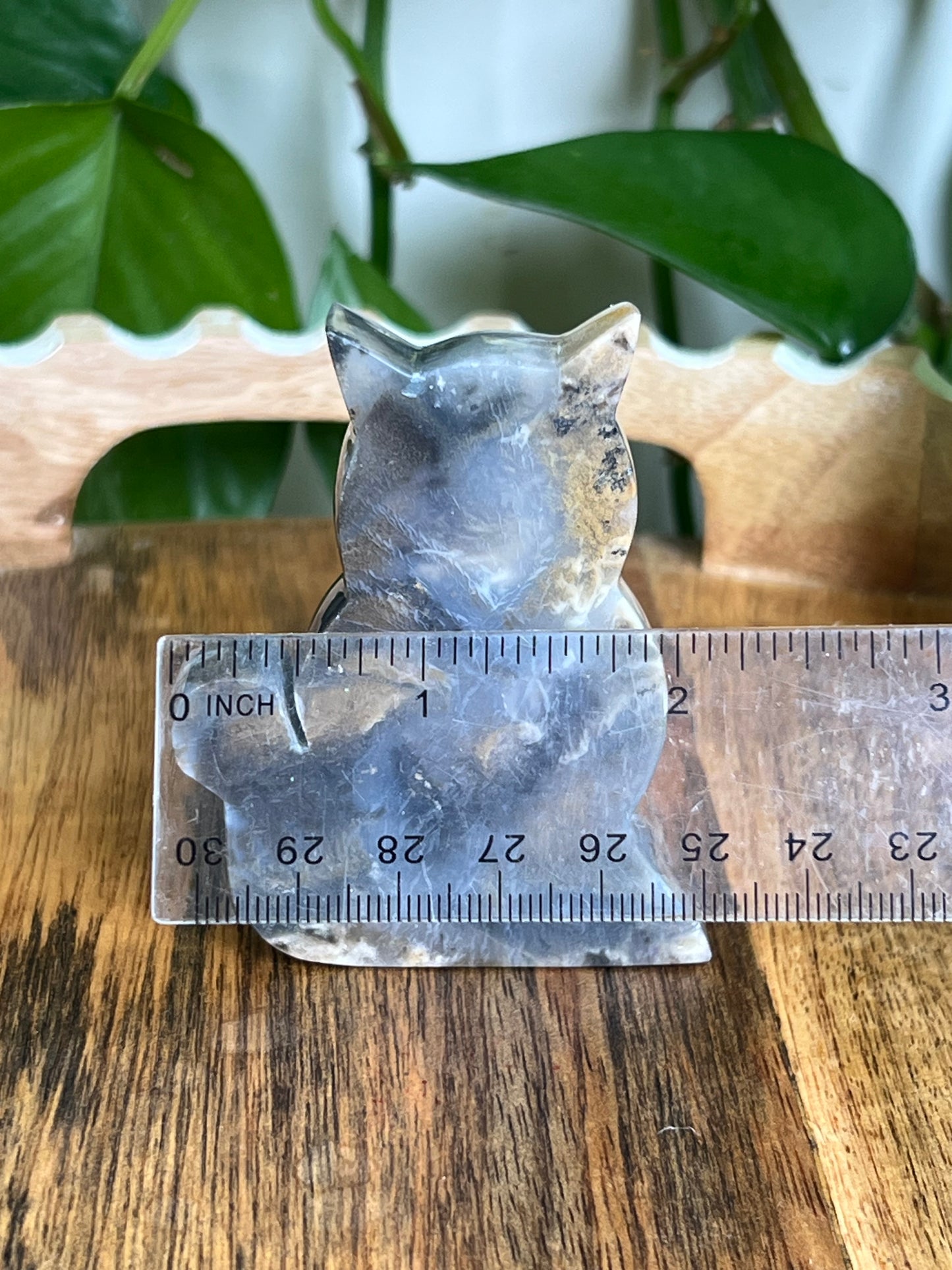 Dendritic Tiger Agate Cat AT