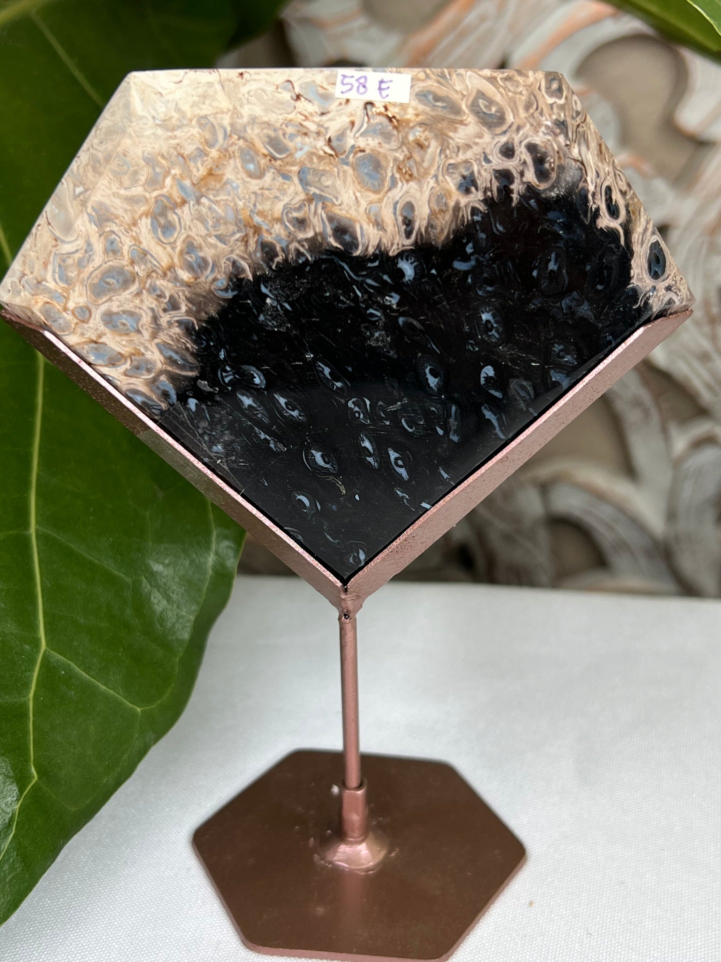Palm Root Diamond
