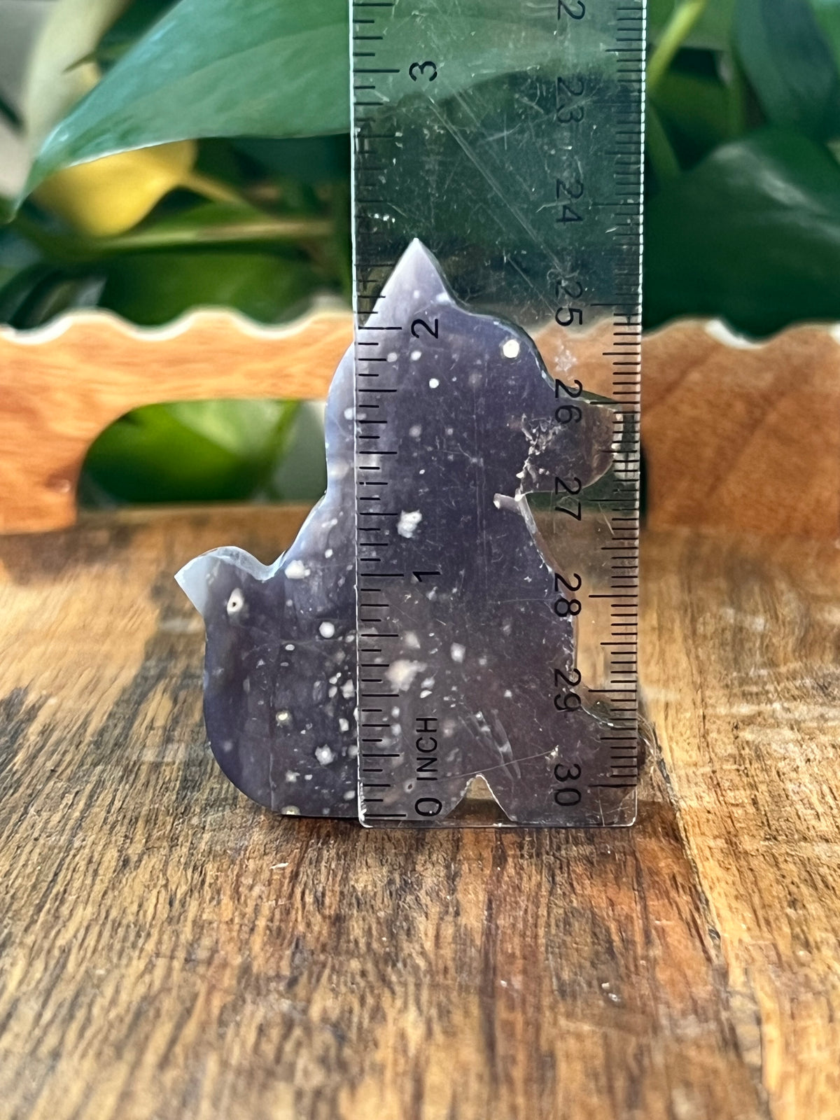 Purple Chalcedony Dogs