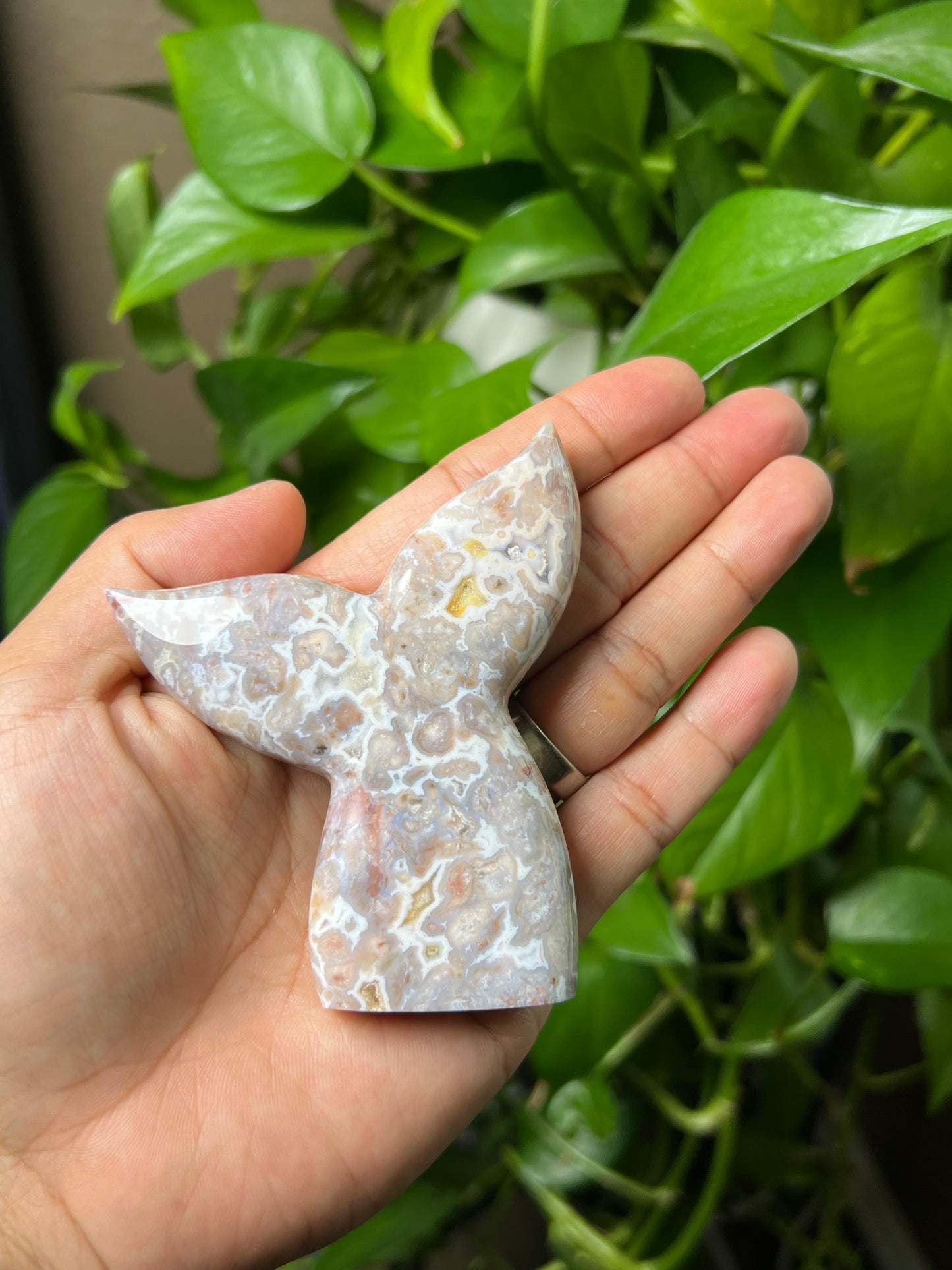 Sumatra Plume Agate Tail