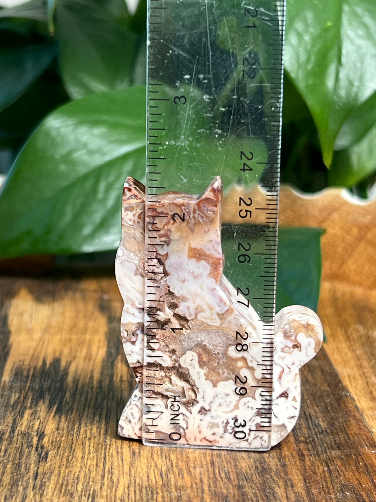 Tube Agate Mini Cats
