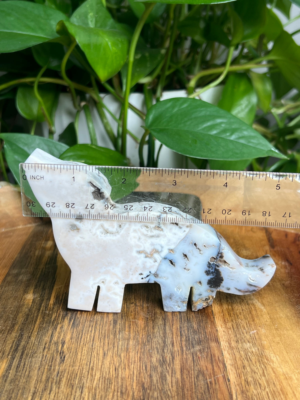 Dendritic Tiger Agate Wolf: K