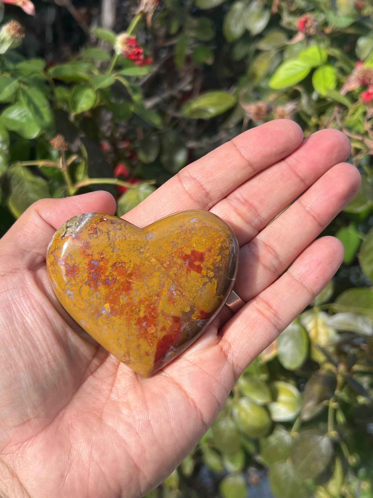 Scenic Moss Agate Heart N