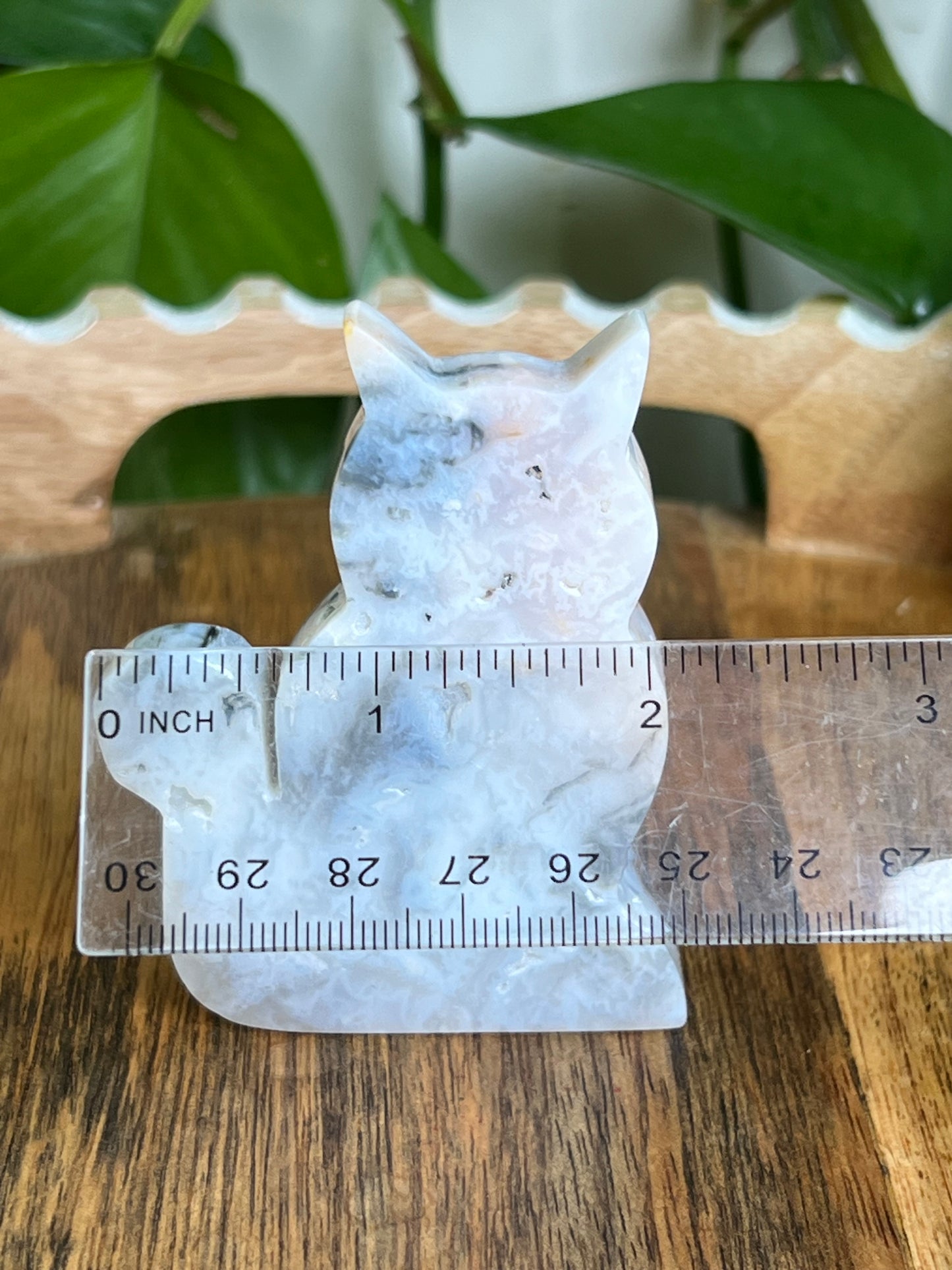 Rainbow Plume Agate Cat B