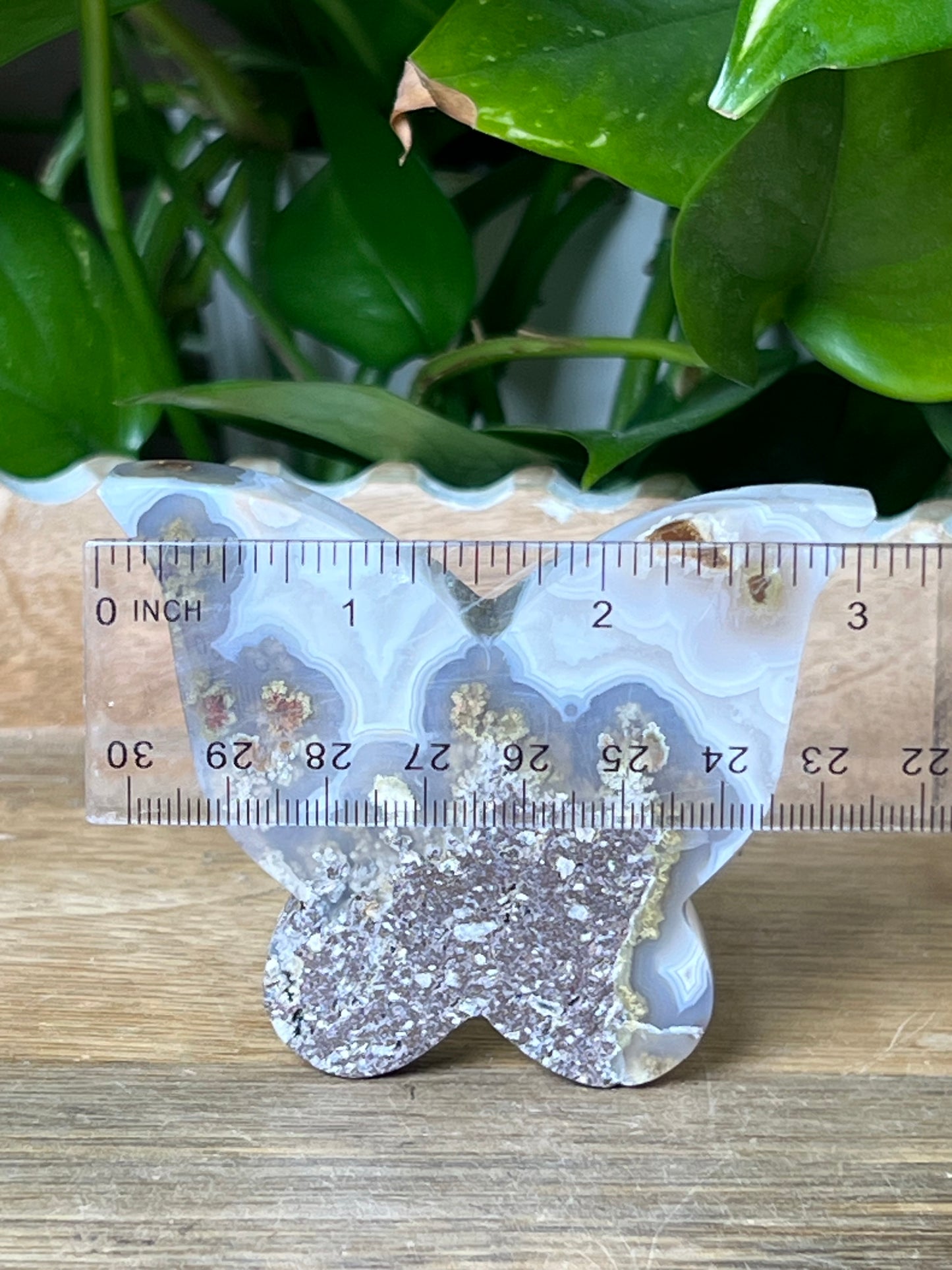 Scenic Moss Agate Butterfly