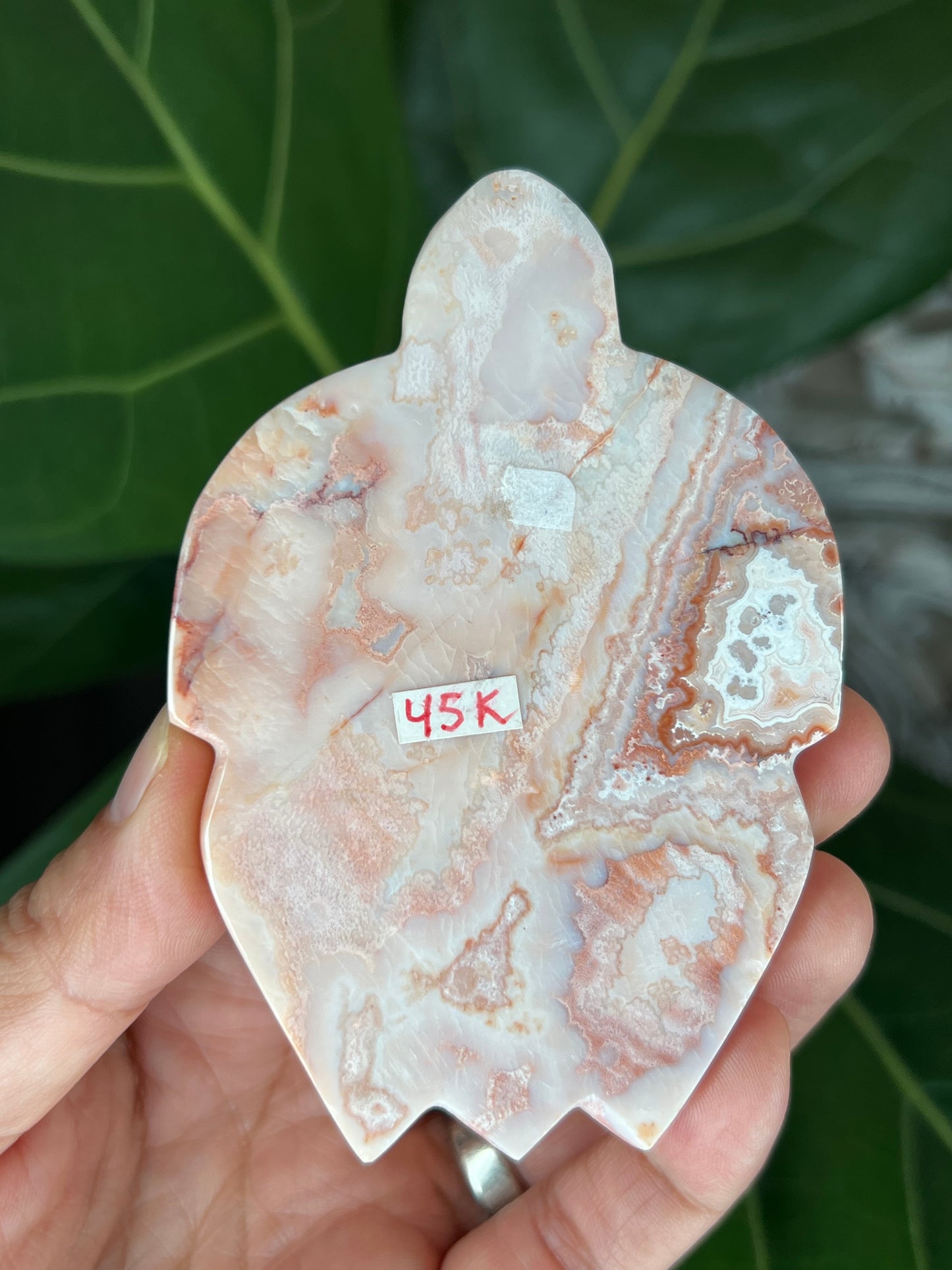 Crazy Lace Agate Turtle