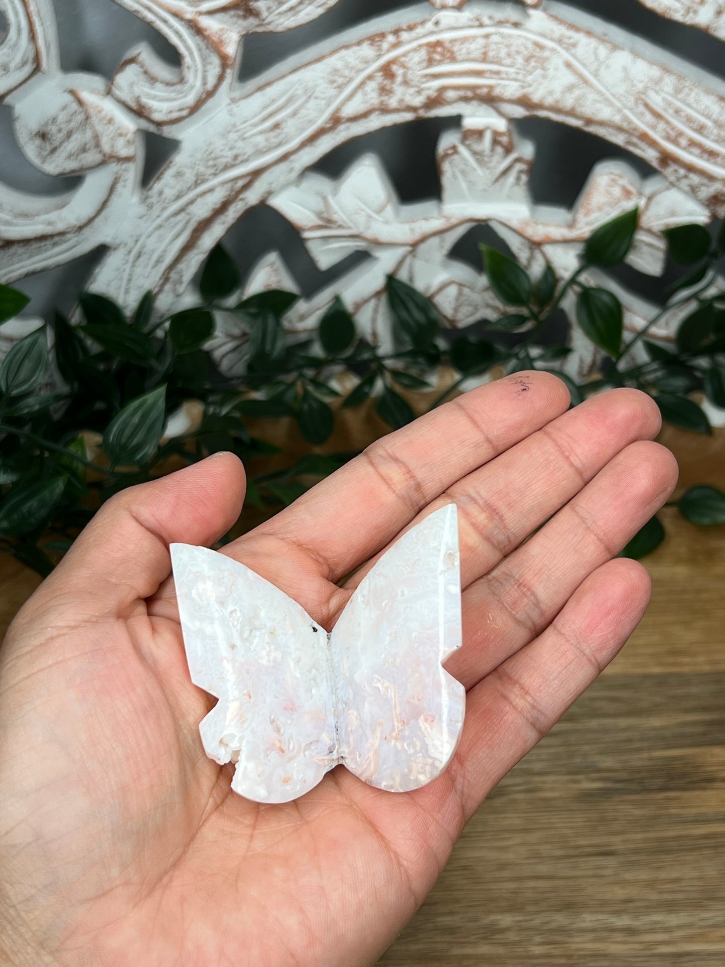 Rainbow Plume Agate 3D Butterfly