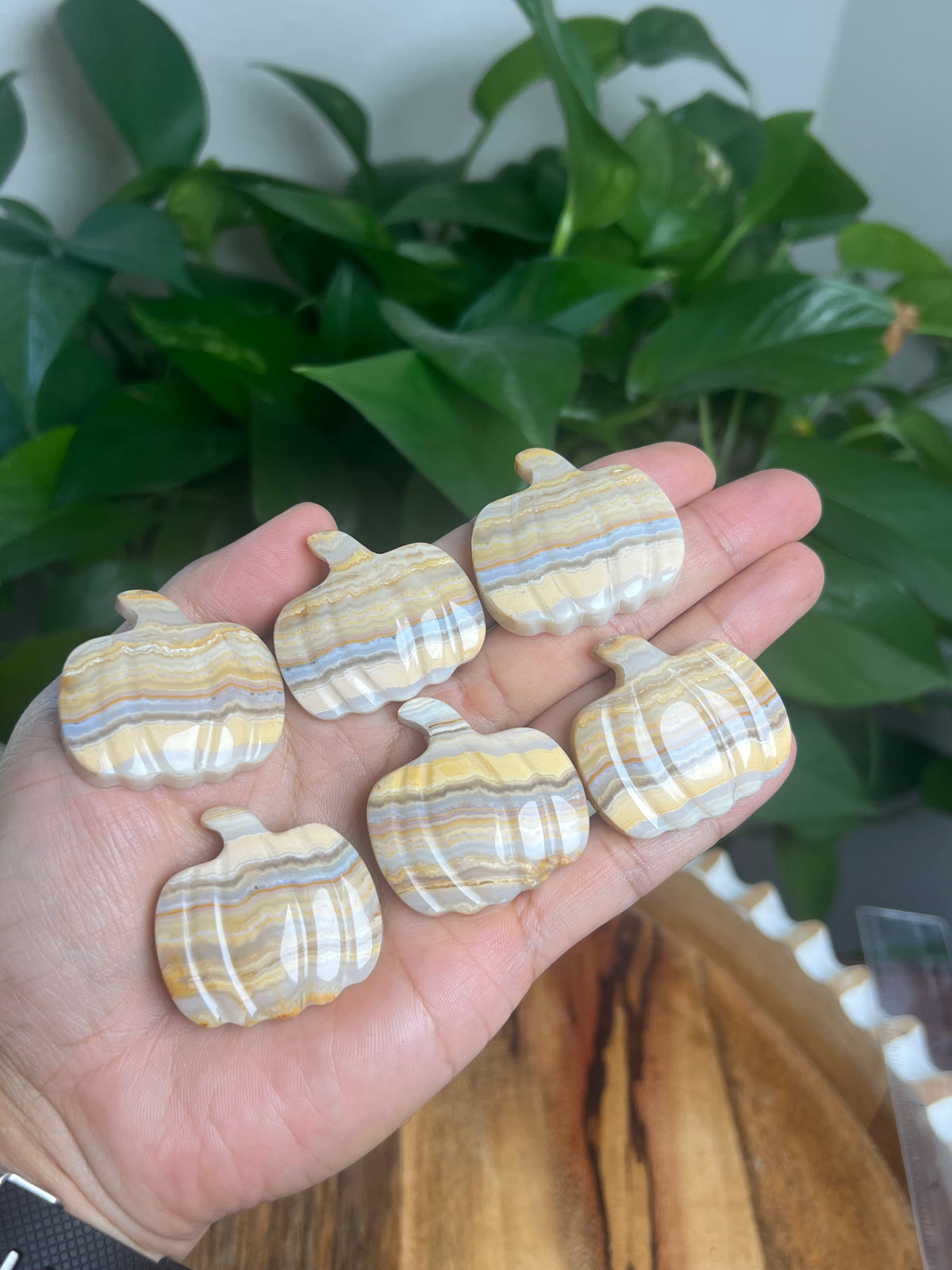 Yellow Crazy Lace Agate Mini Pumpkin