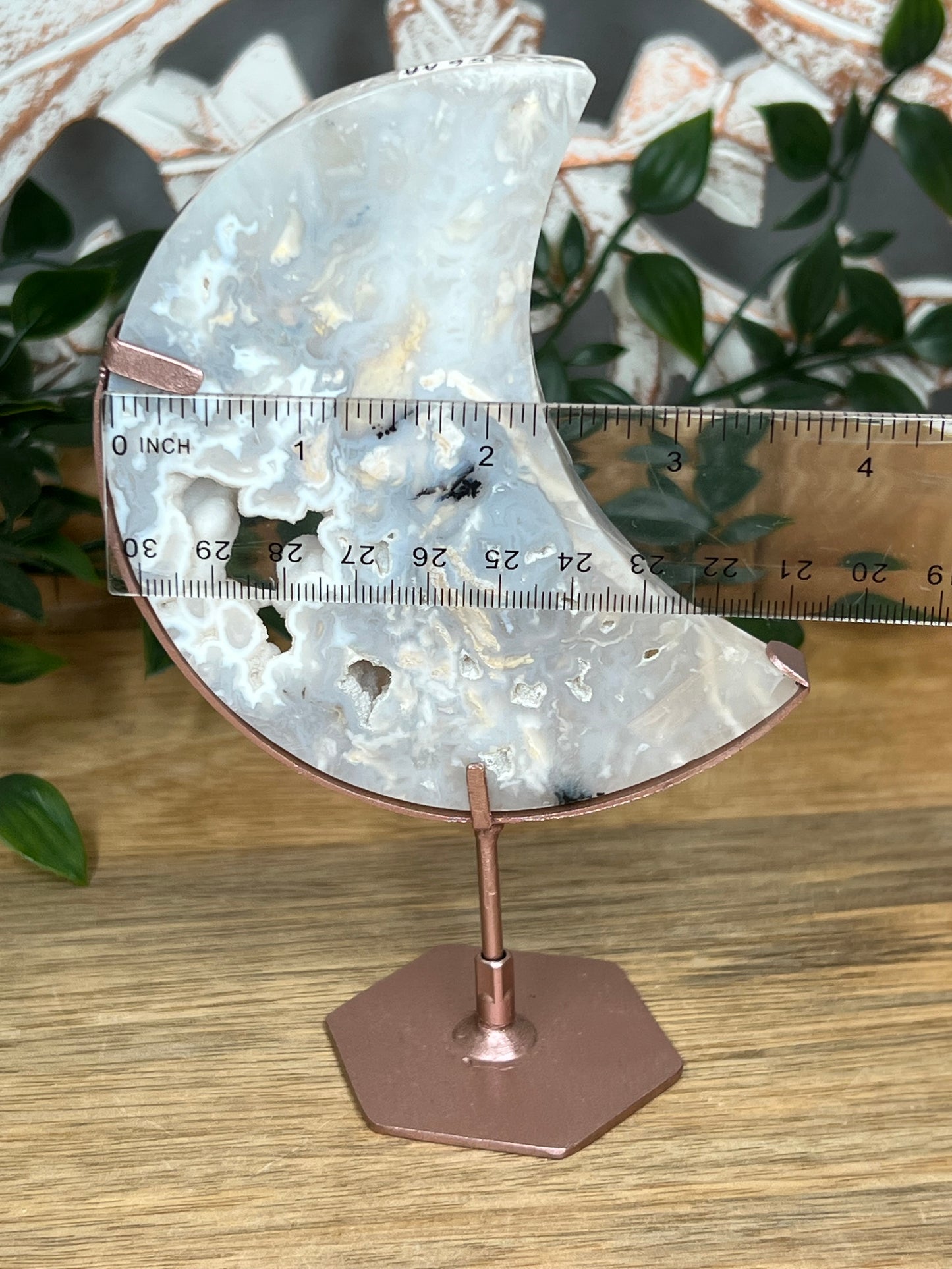 Dendritic Tiger Agate Moon