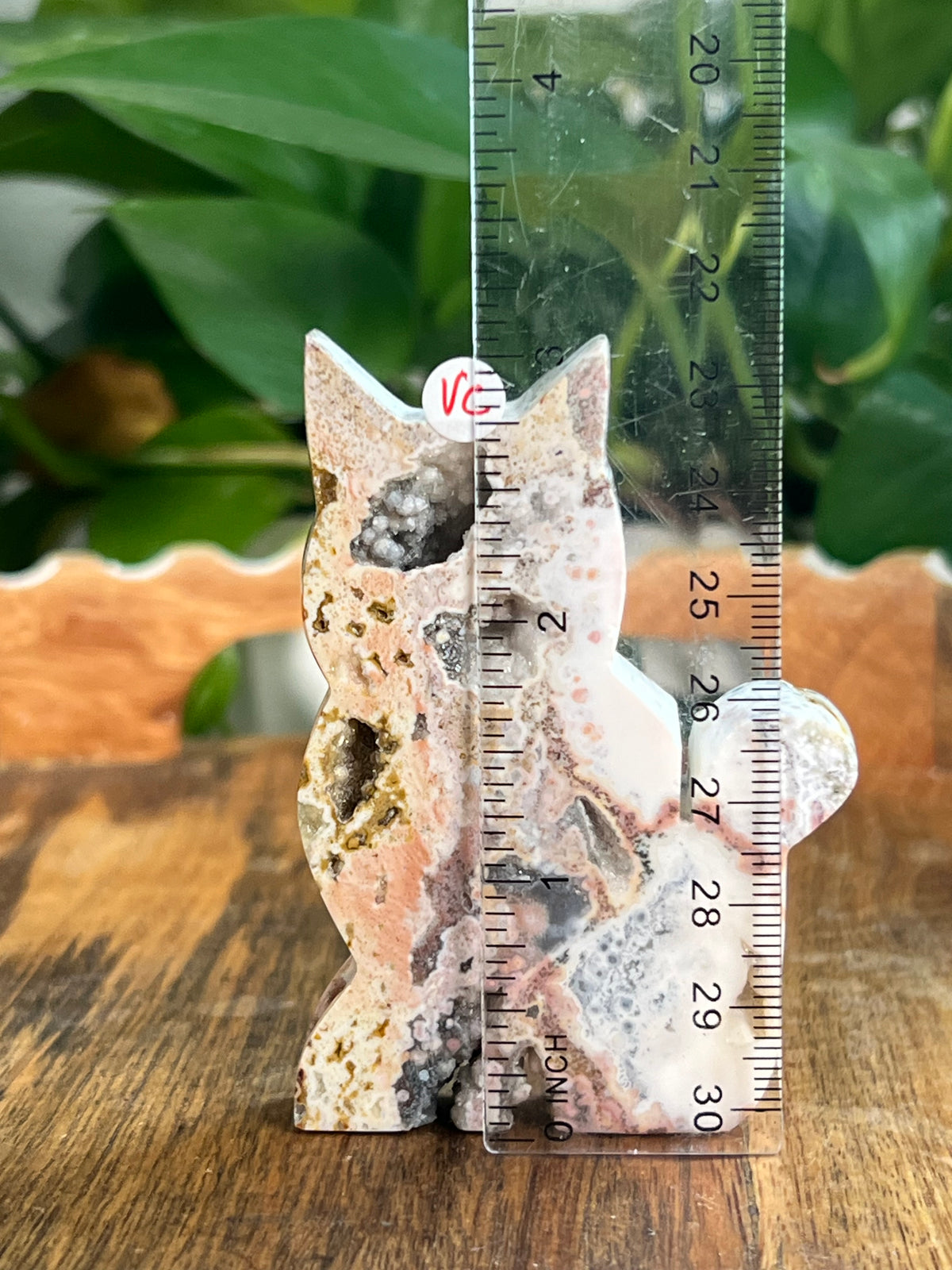 Sea Jasper Cats- Small