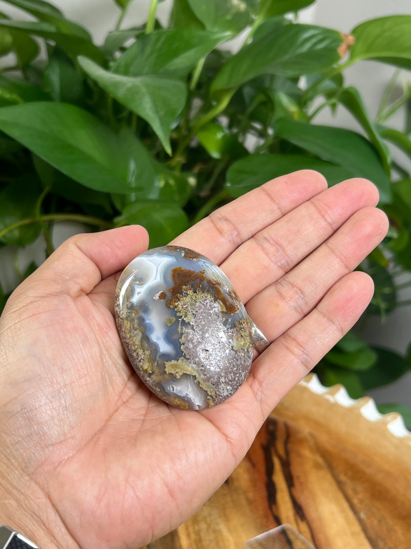 Scenic Moss Agate Palmstone: KA