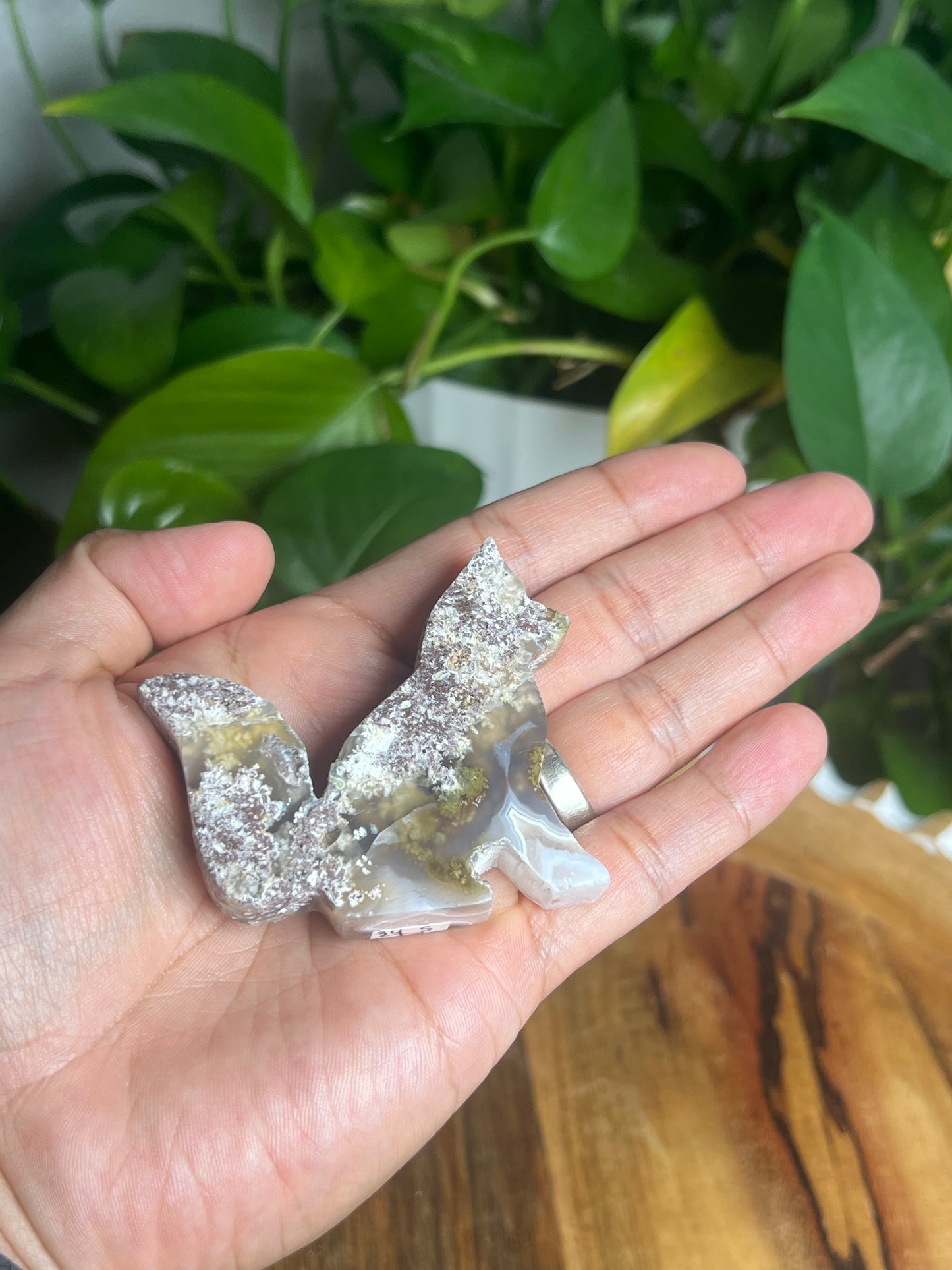 Scenic Moss Agate Fox S