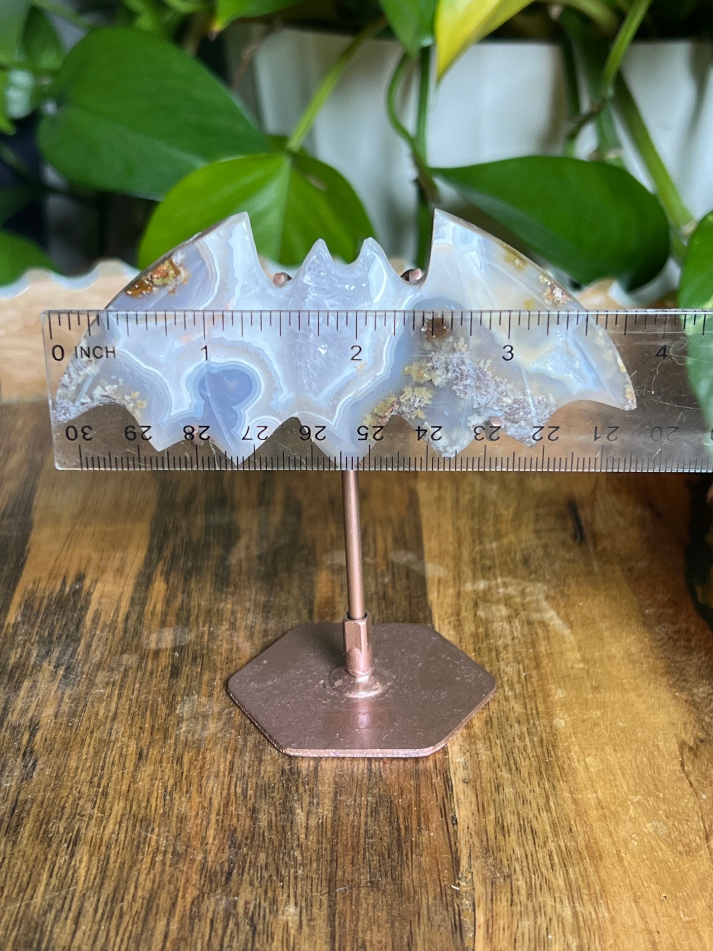 Scenic Moss Agate Bat