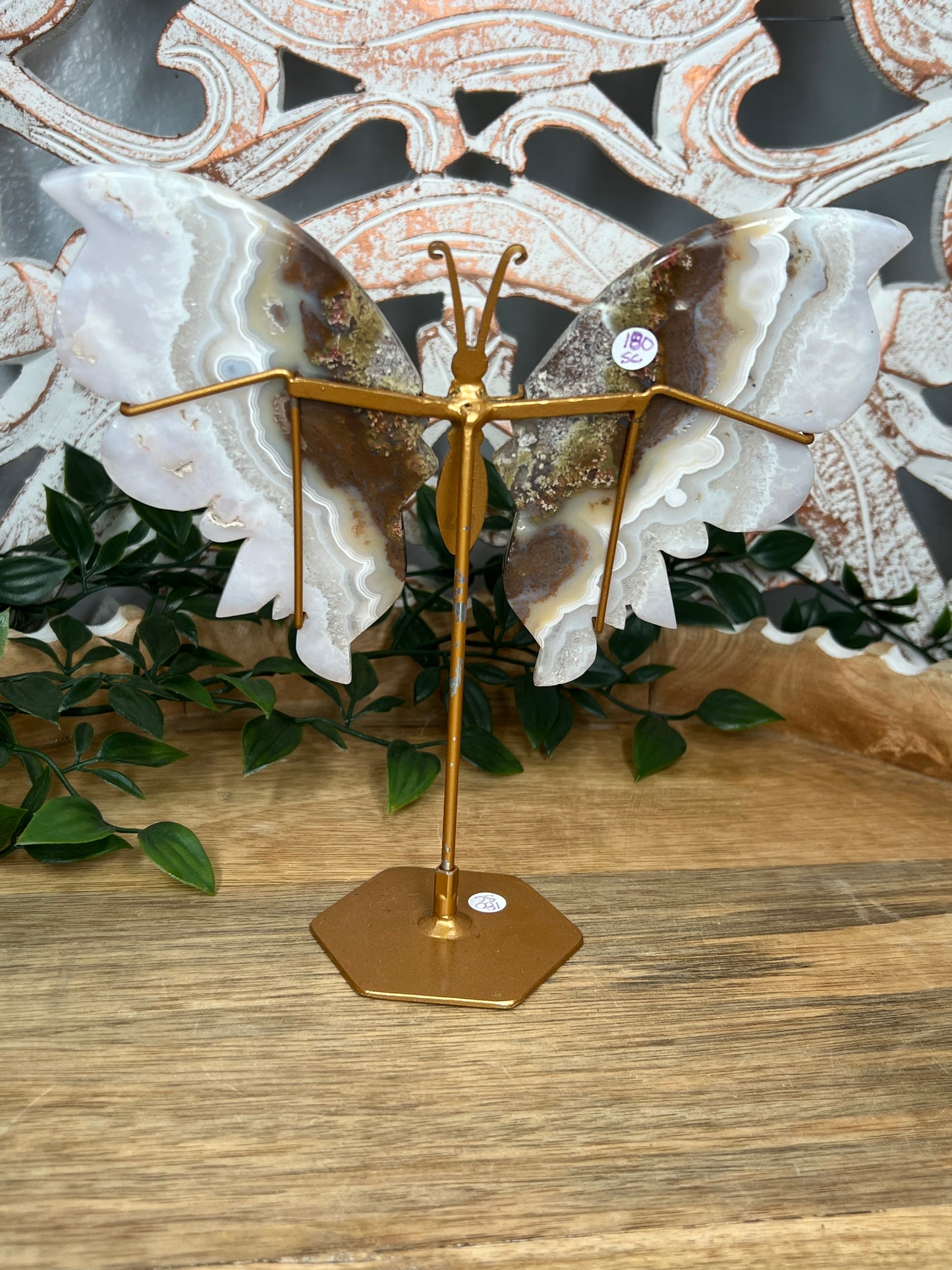 Scenic Moss Agate Wings