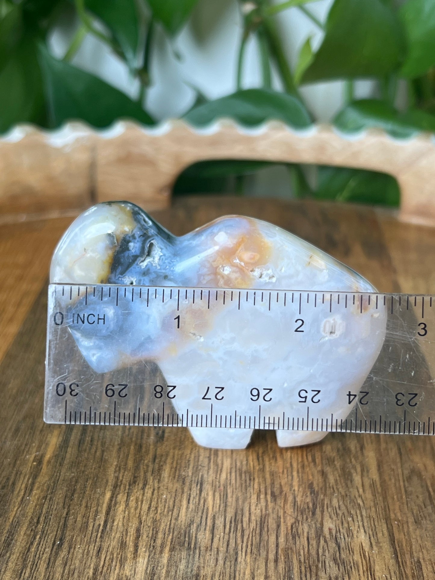 Rainbow Plume Agate Buffalo