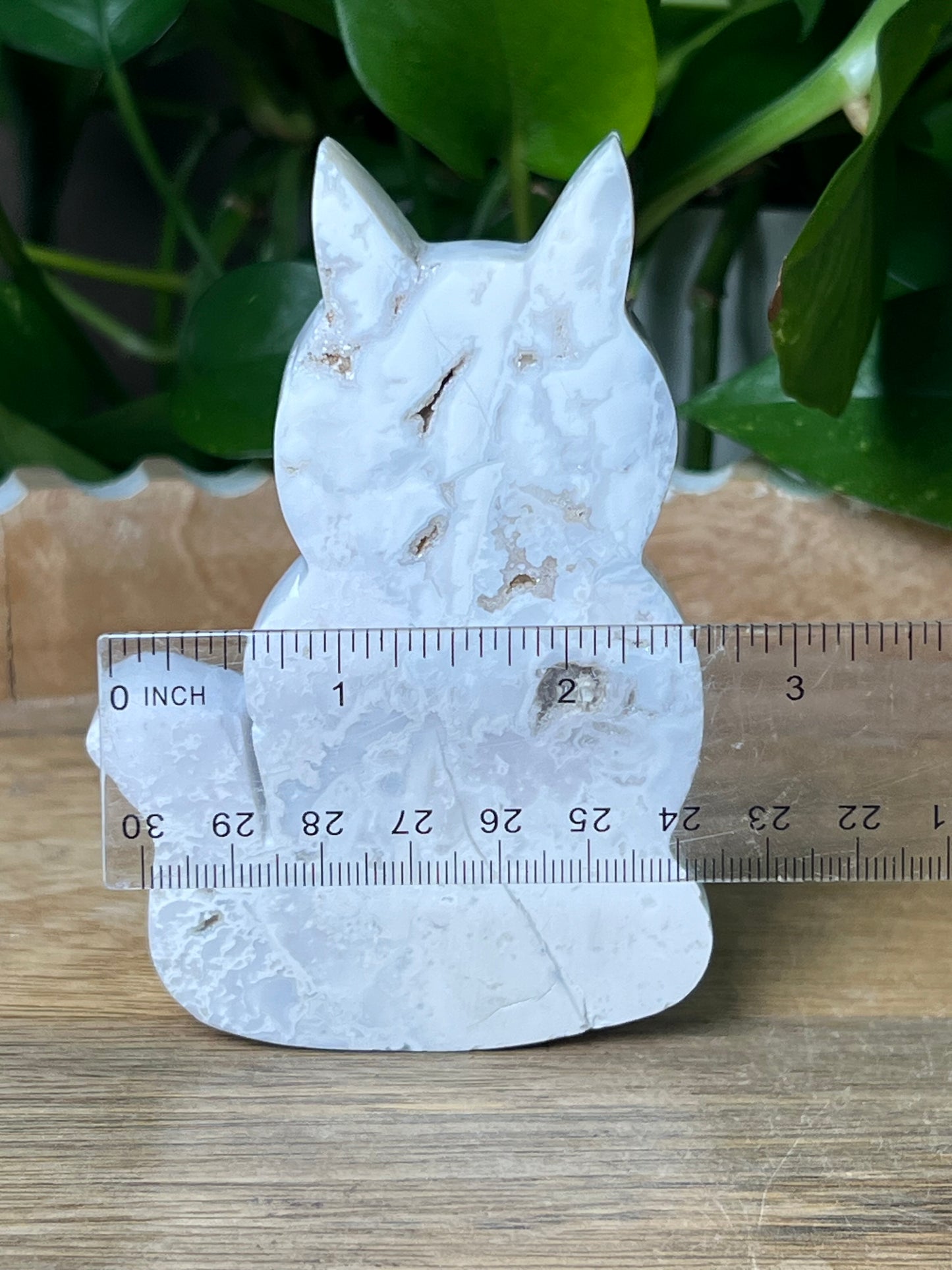 White Plume Agate Cat