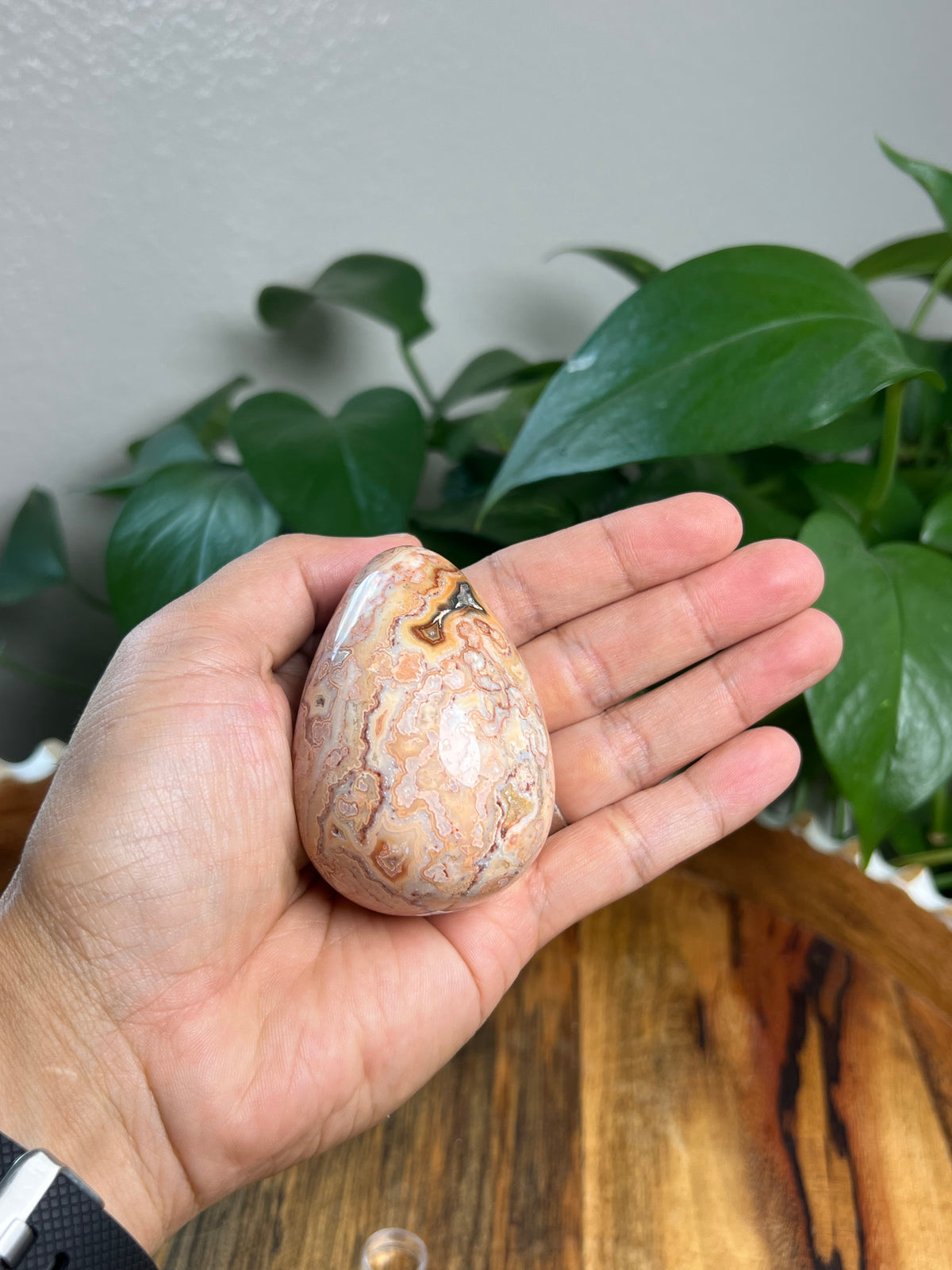 Crazy Lace Agate Egg: EK