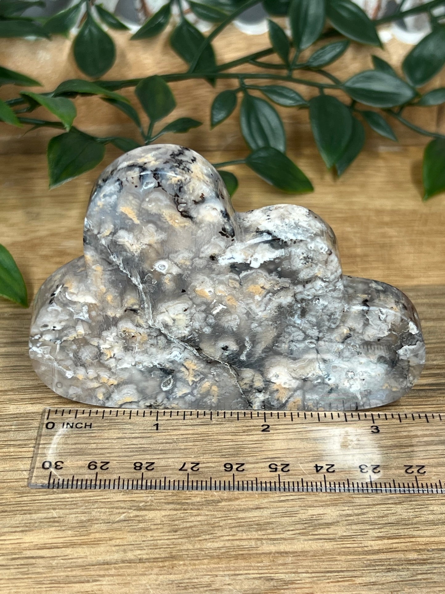 Dendritic Tiger Agate Cloud