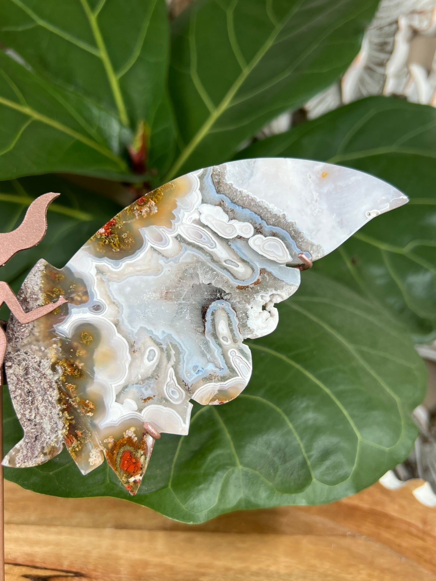 Scenic moss agate wings