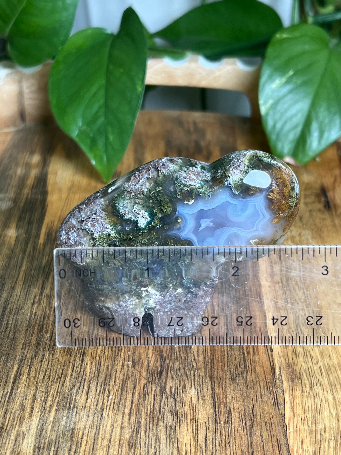 Scenic Moss Agate Buffalo NB