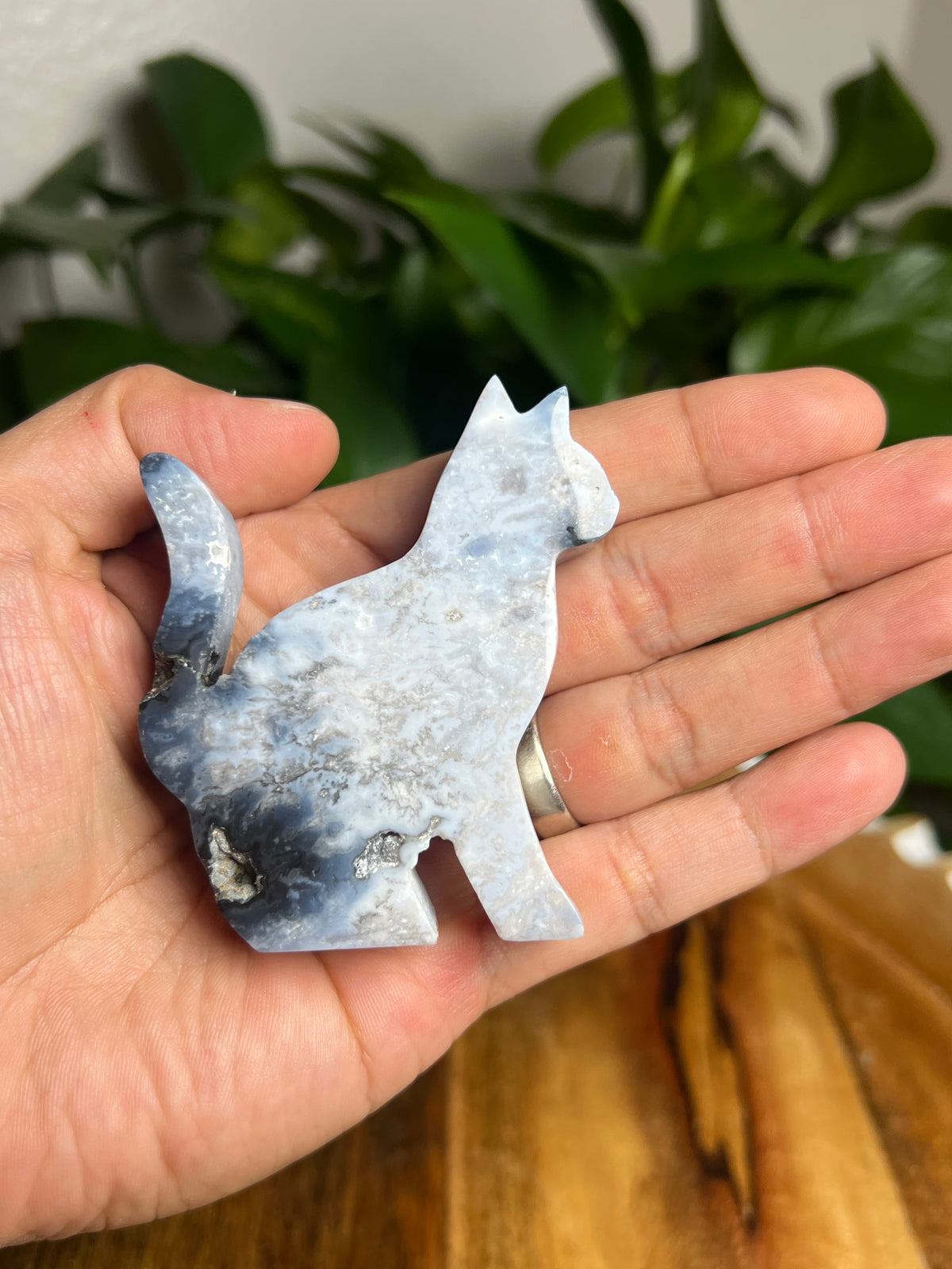 Blue Plume Agate Cat: LD