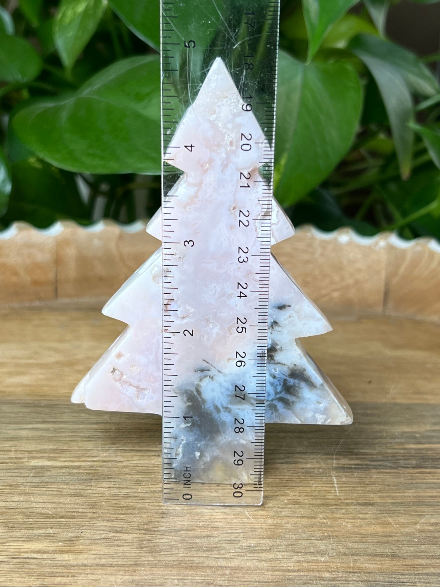 Rainbow Plume Agate Tree