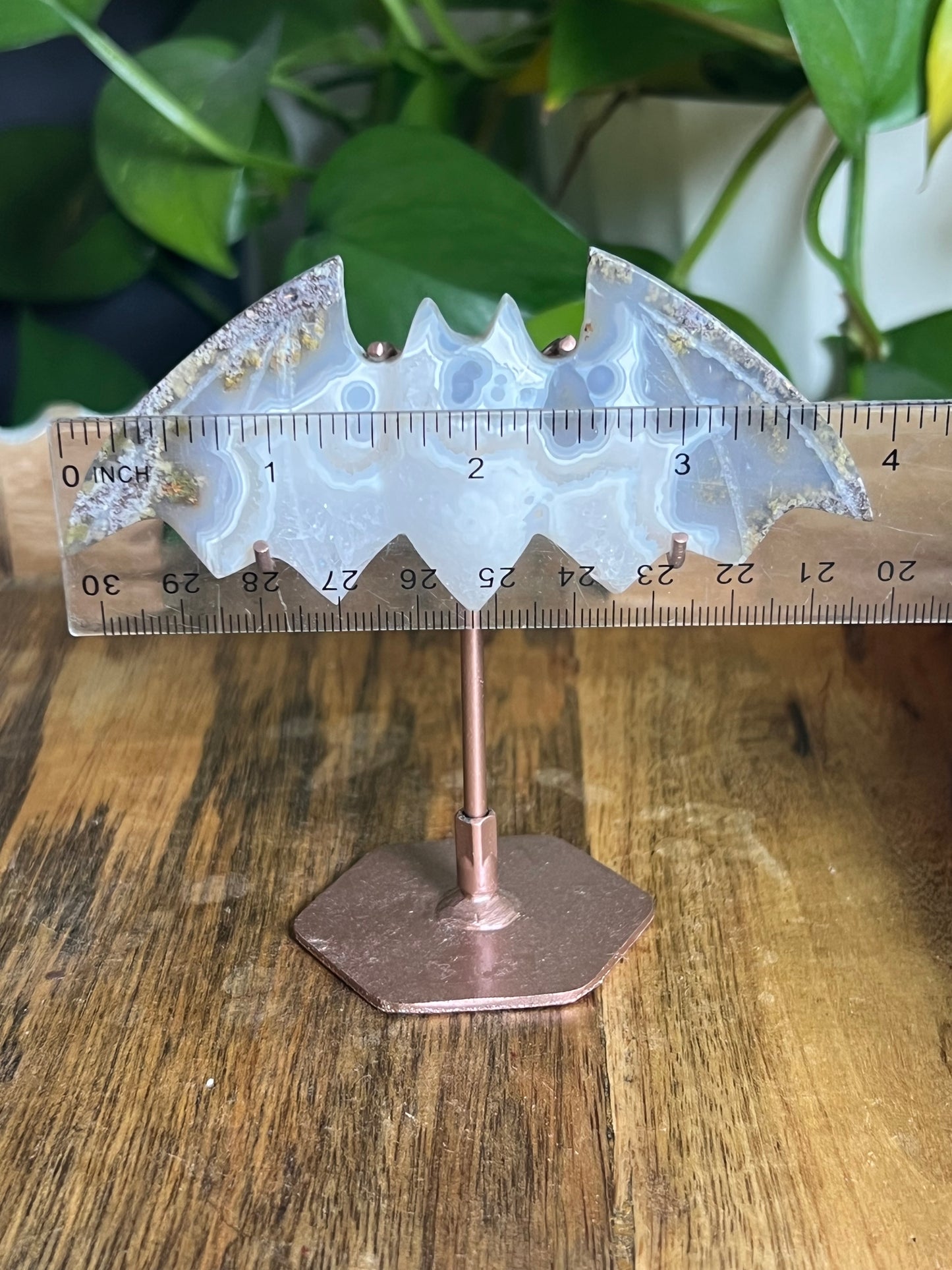 Scenic Moss Agate Bat