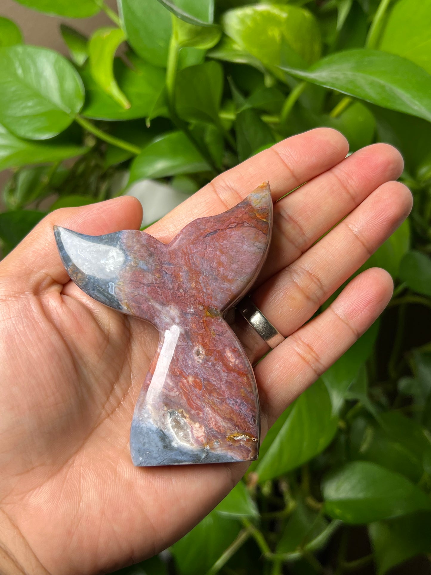 River Jasper Tail