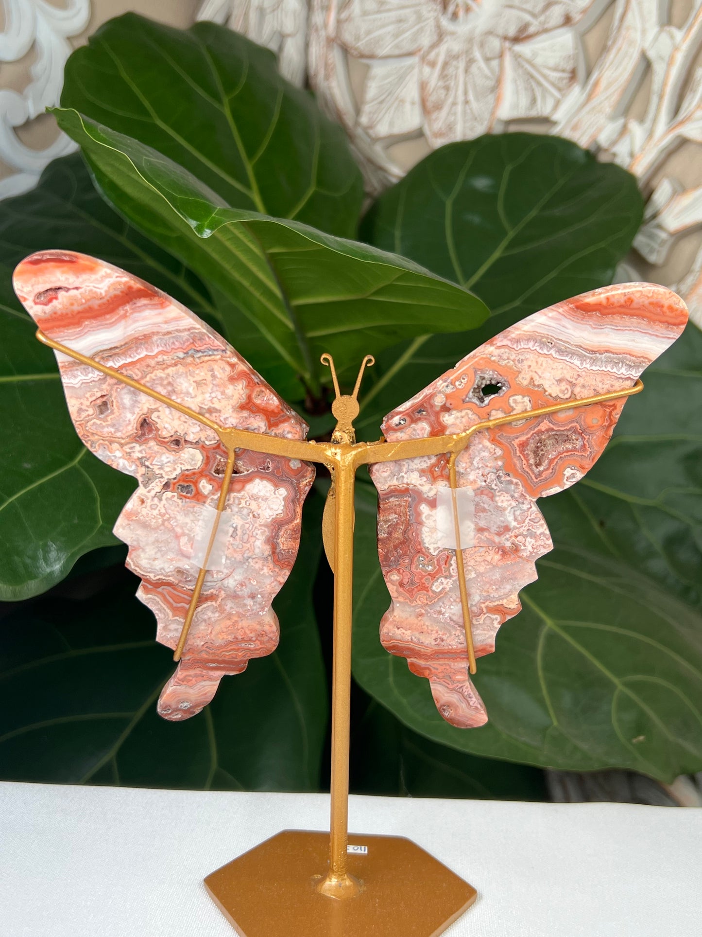 Crazy Lace Agate Wings