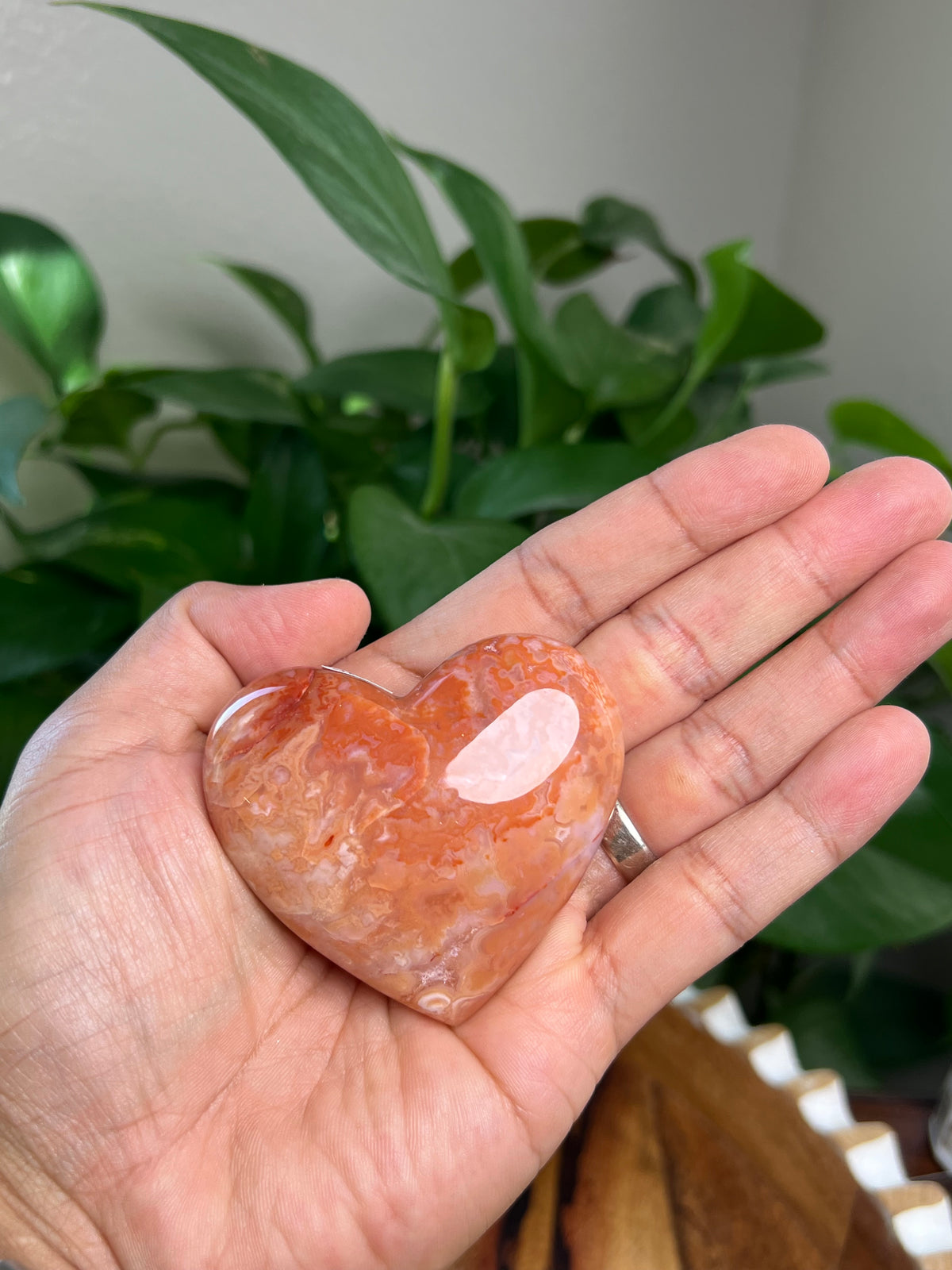 Carnelian Heart: MD