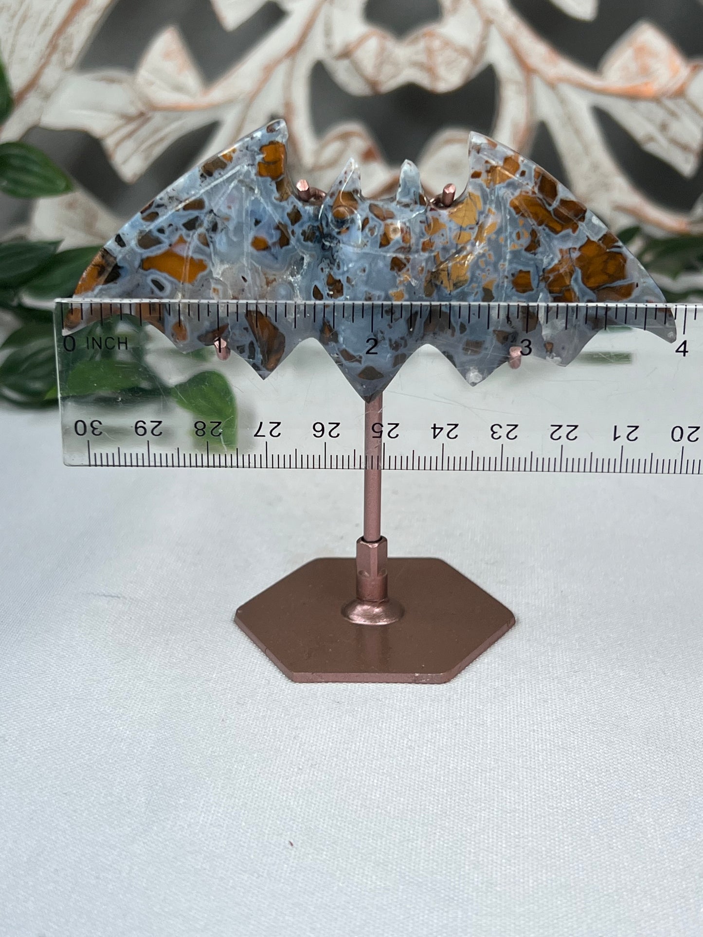 Indonesian Cotton Candy Bat