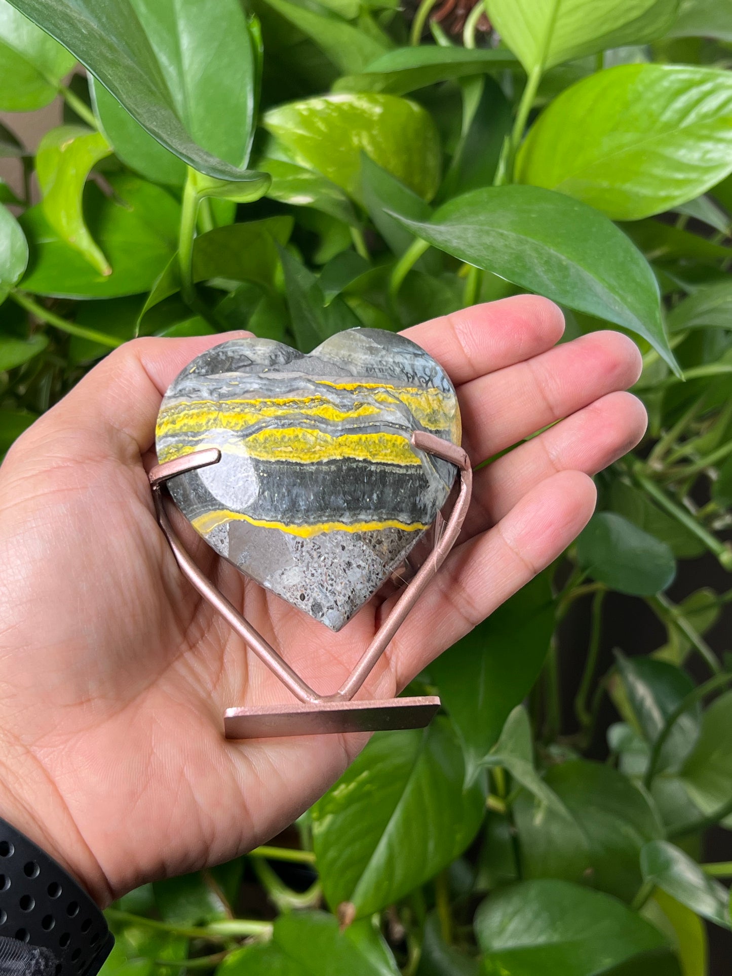 Bumblebee Jasper Heart