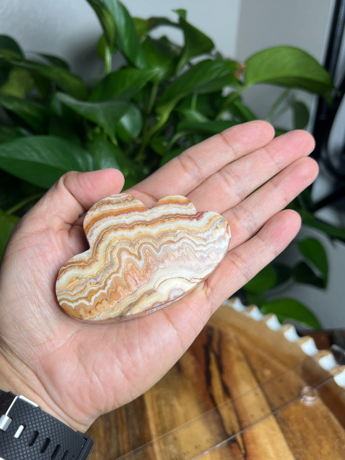 Crazy Lace Agate Cloud: NX
