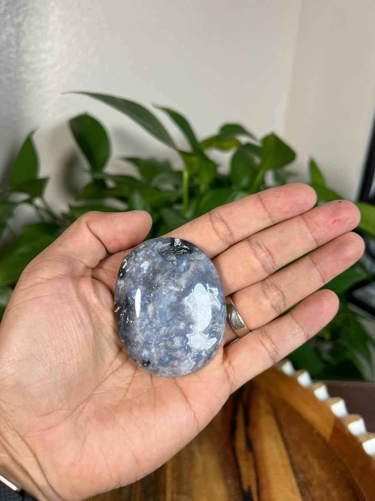 Blue Plume Agate Palmstones