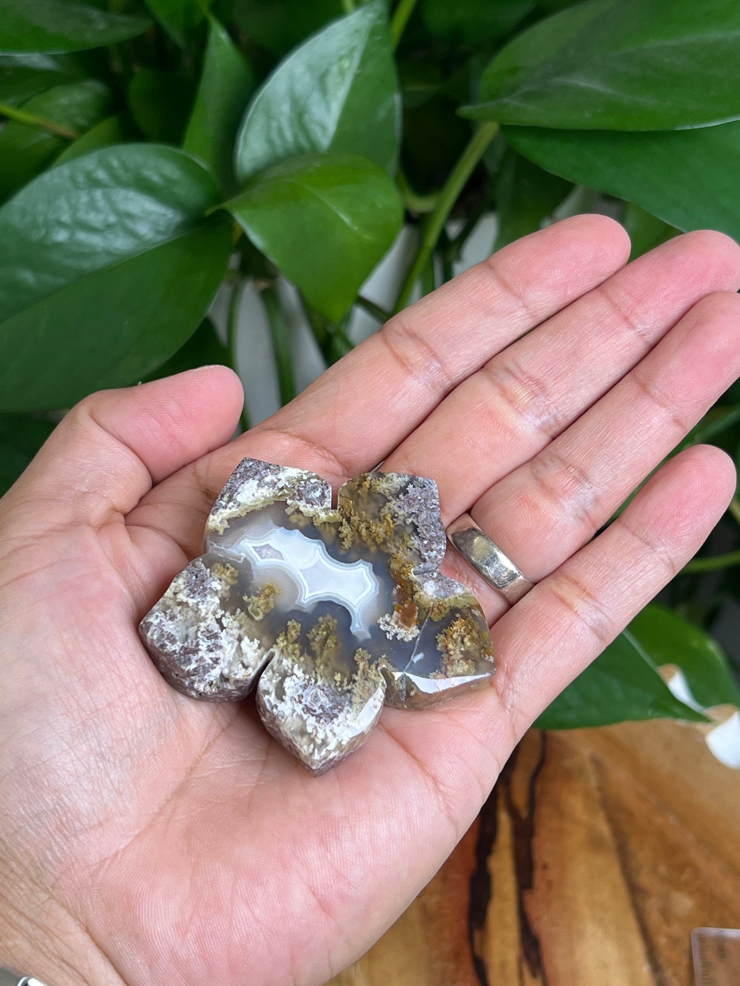 Scenic Moss Agate Flower NE