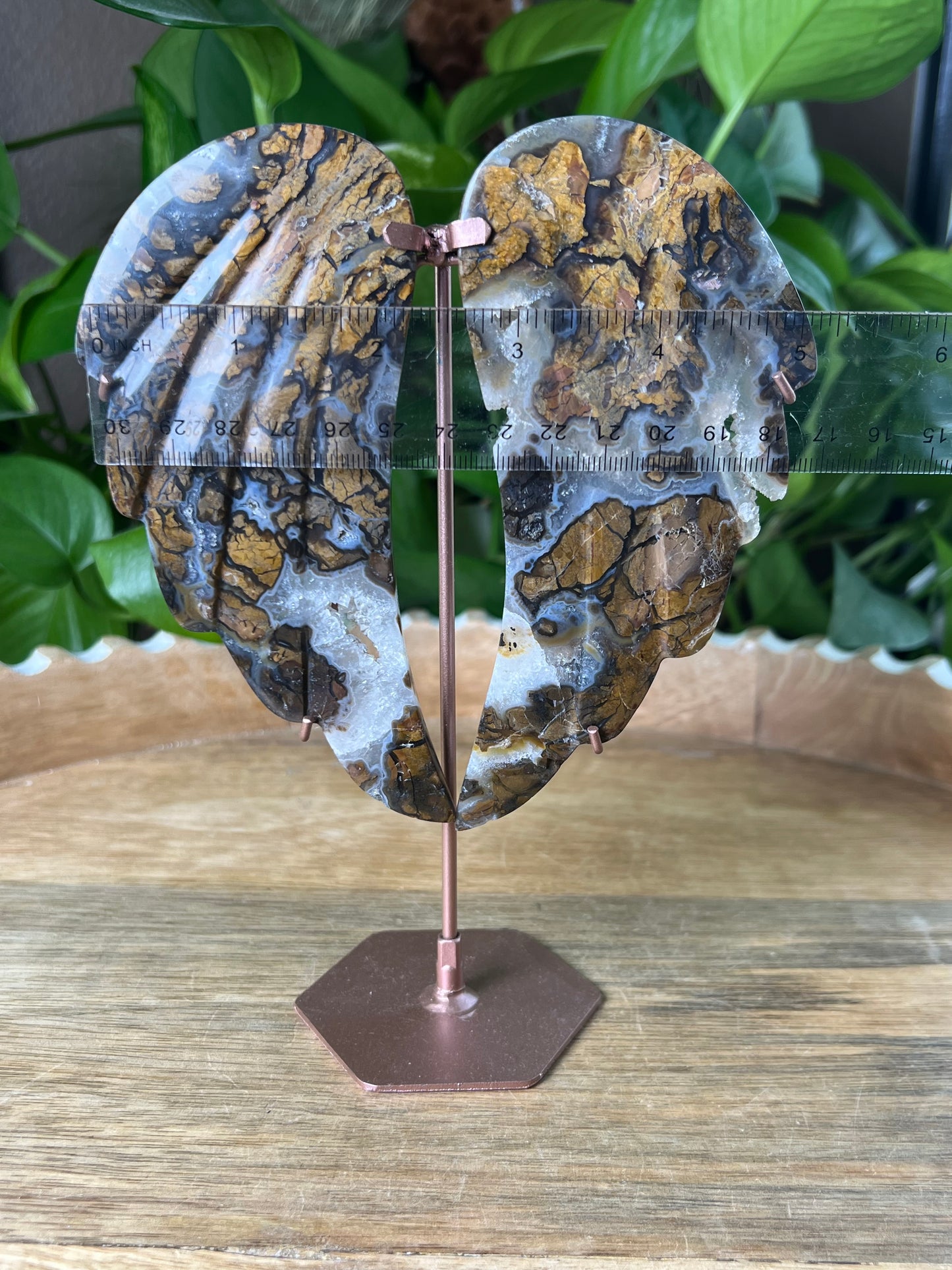 Brecciated Jasper Wings