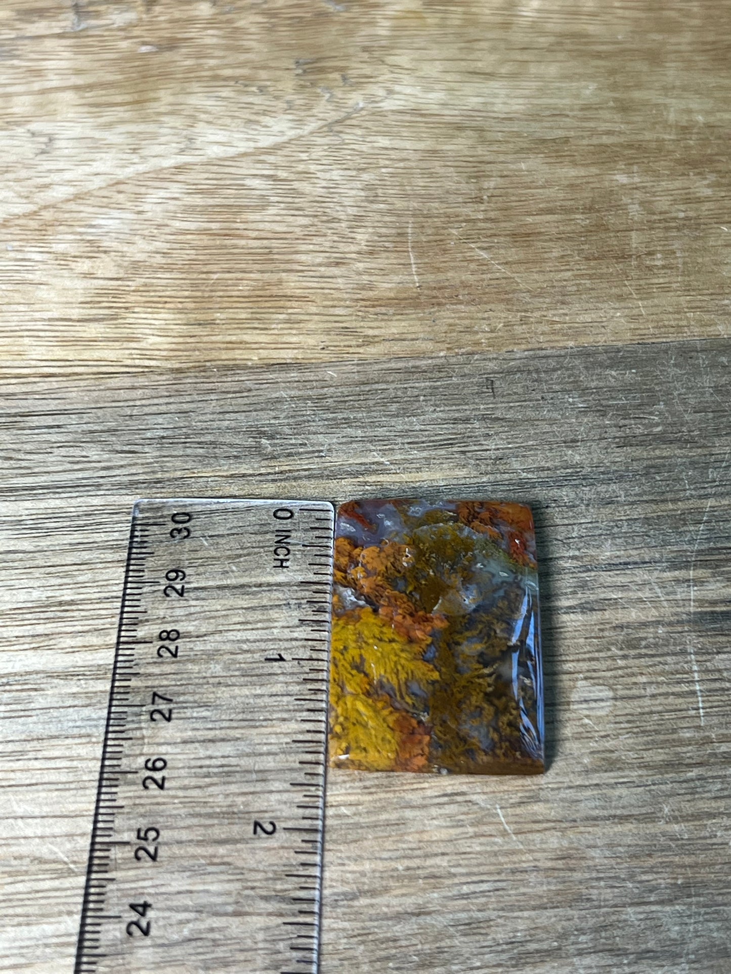 Scenic Moss Agate Cabochon