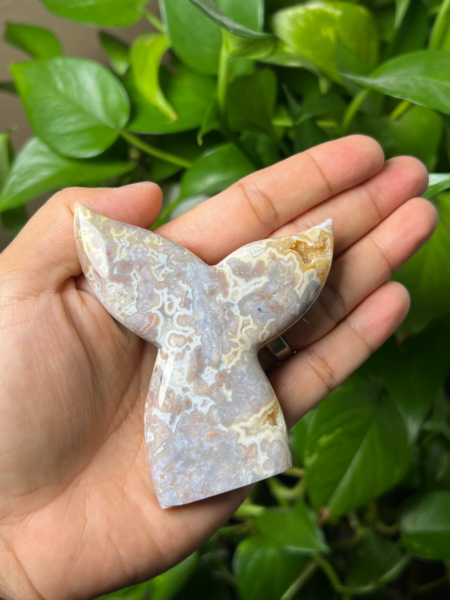 Sumatra Plume Agate Tail
