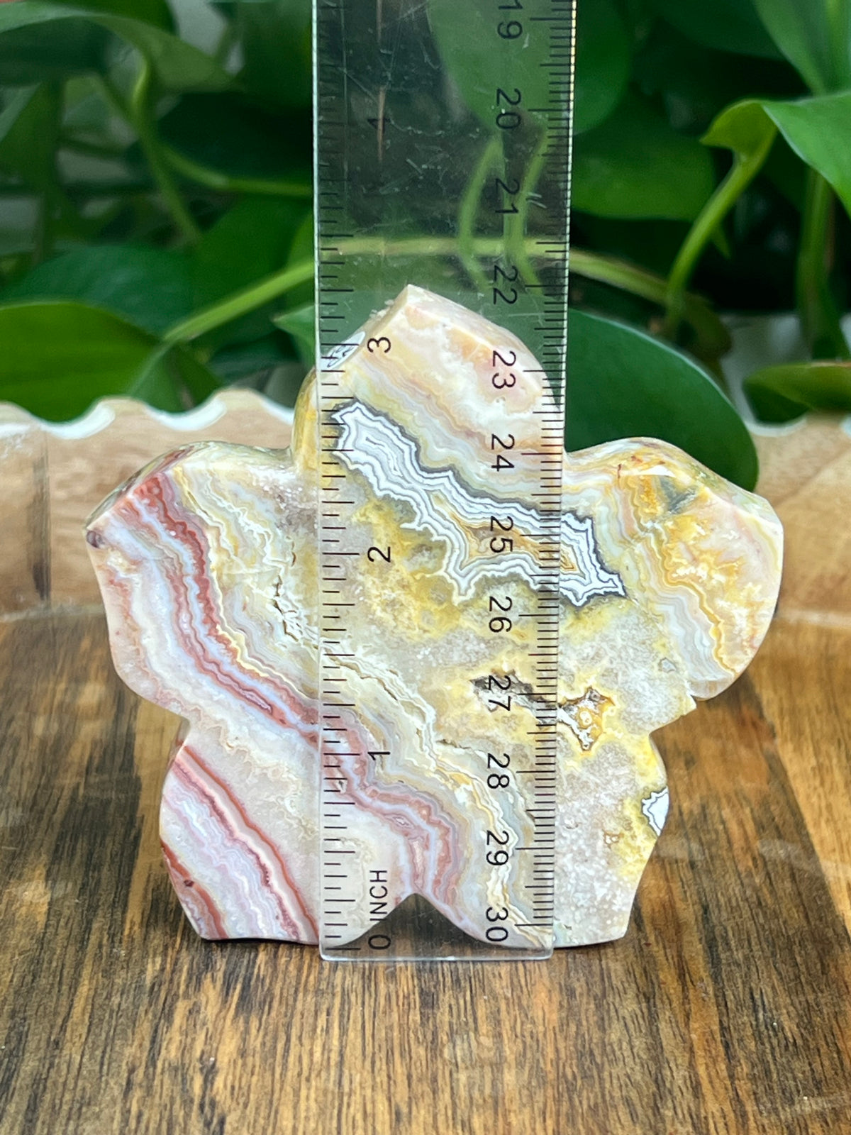 Crazy Lace Agate Flower: CK