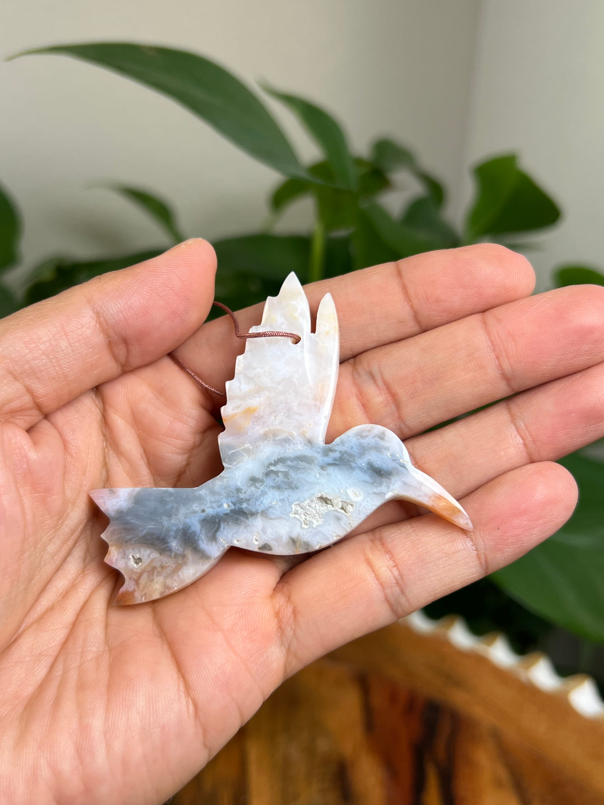 Rainbow Plume Agate Hummingbird: LC