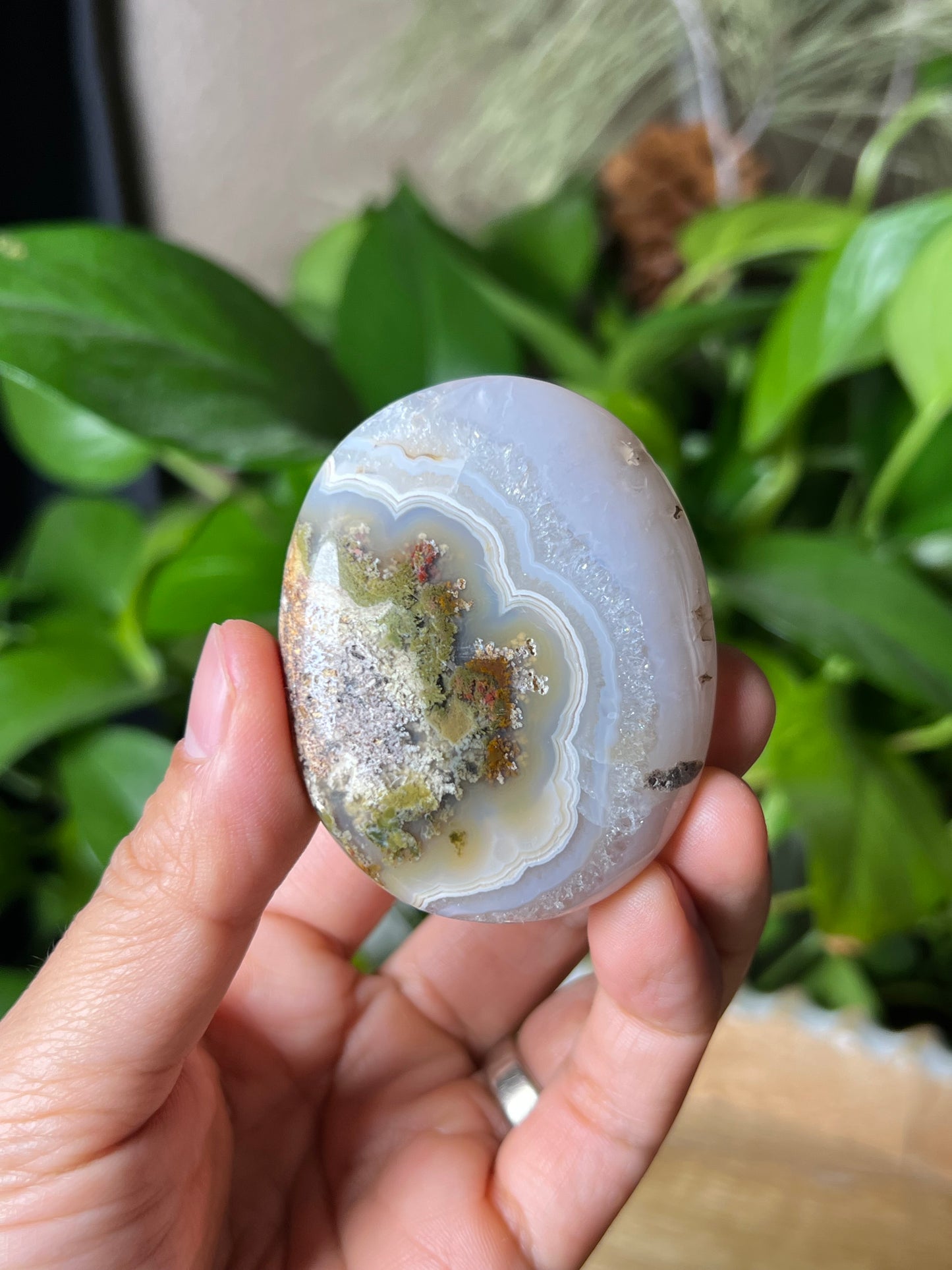 Scenic Moss Agate Palmstone